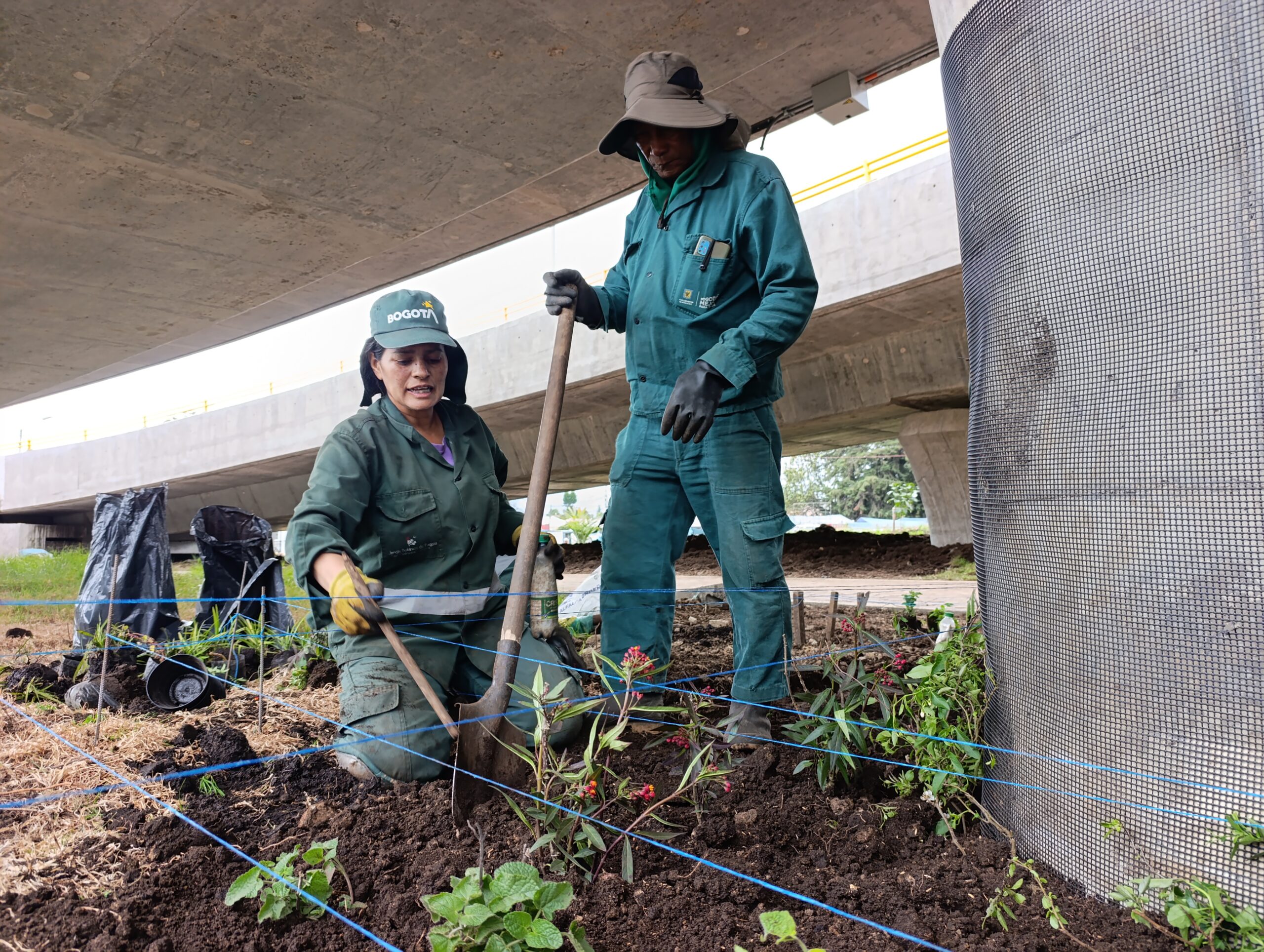 Historias del verde urbano: Los nuevos puentes vehiculares de la calle 127 con avenida Boyacá se visten con jardines biodiversos