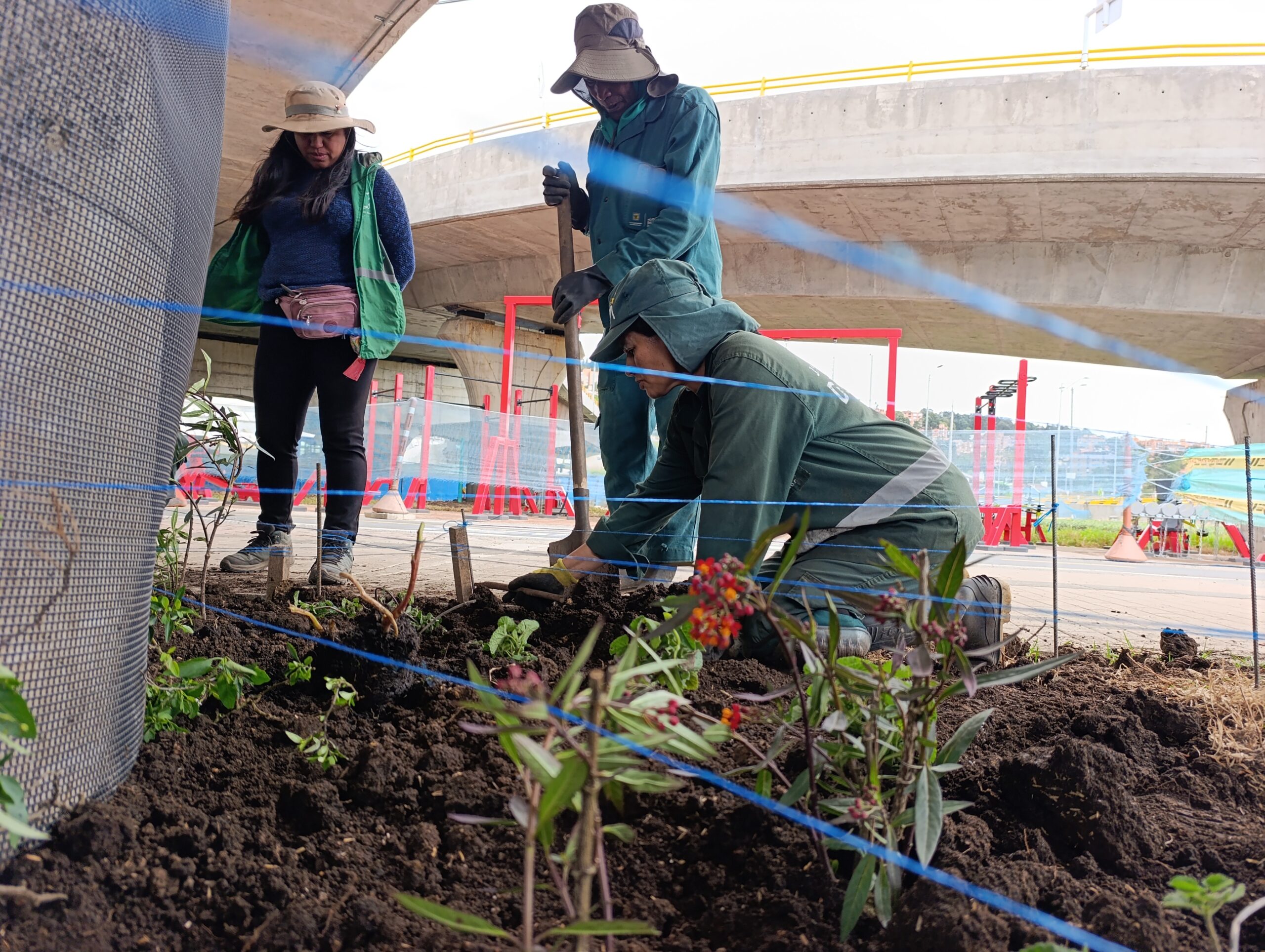 Historias del verde urbano: Los nuevos puentes vehiculares de la calle 127 con avenida Boyacá se visten con jardines biodiversos