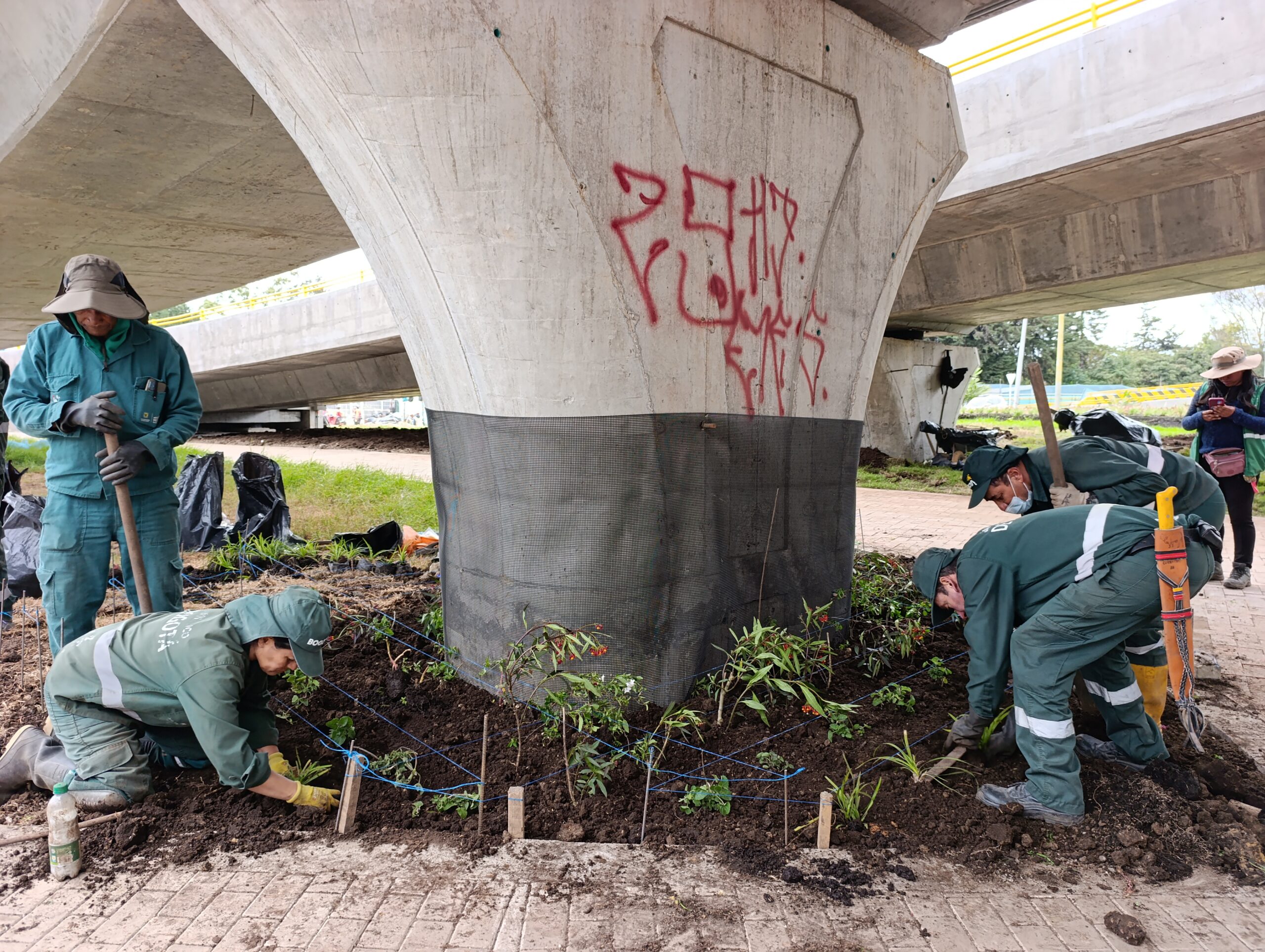 Historias del verde urbano: Los nuevos puentes vehiculares de la calle 127 con avenida Boyacá se visten con jardines biodiversos