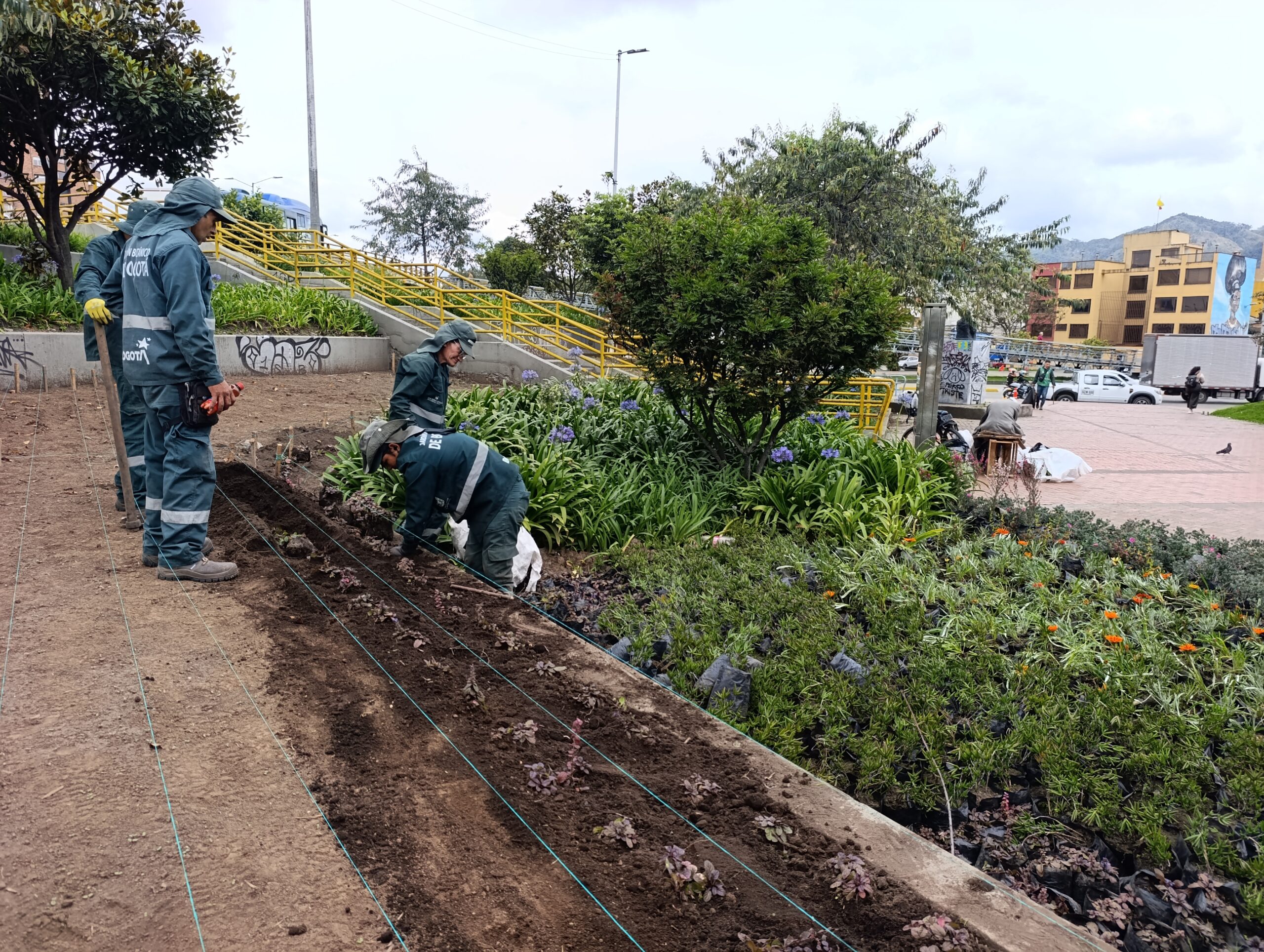 Historias del verde urbano: El icónico puente vehicular de la carrera 30 con calle 26 renueva sus jardines