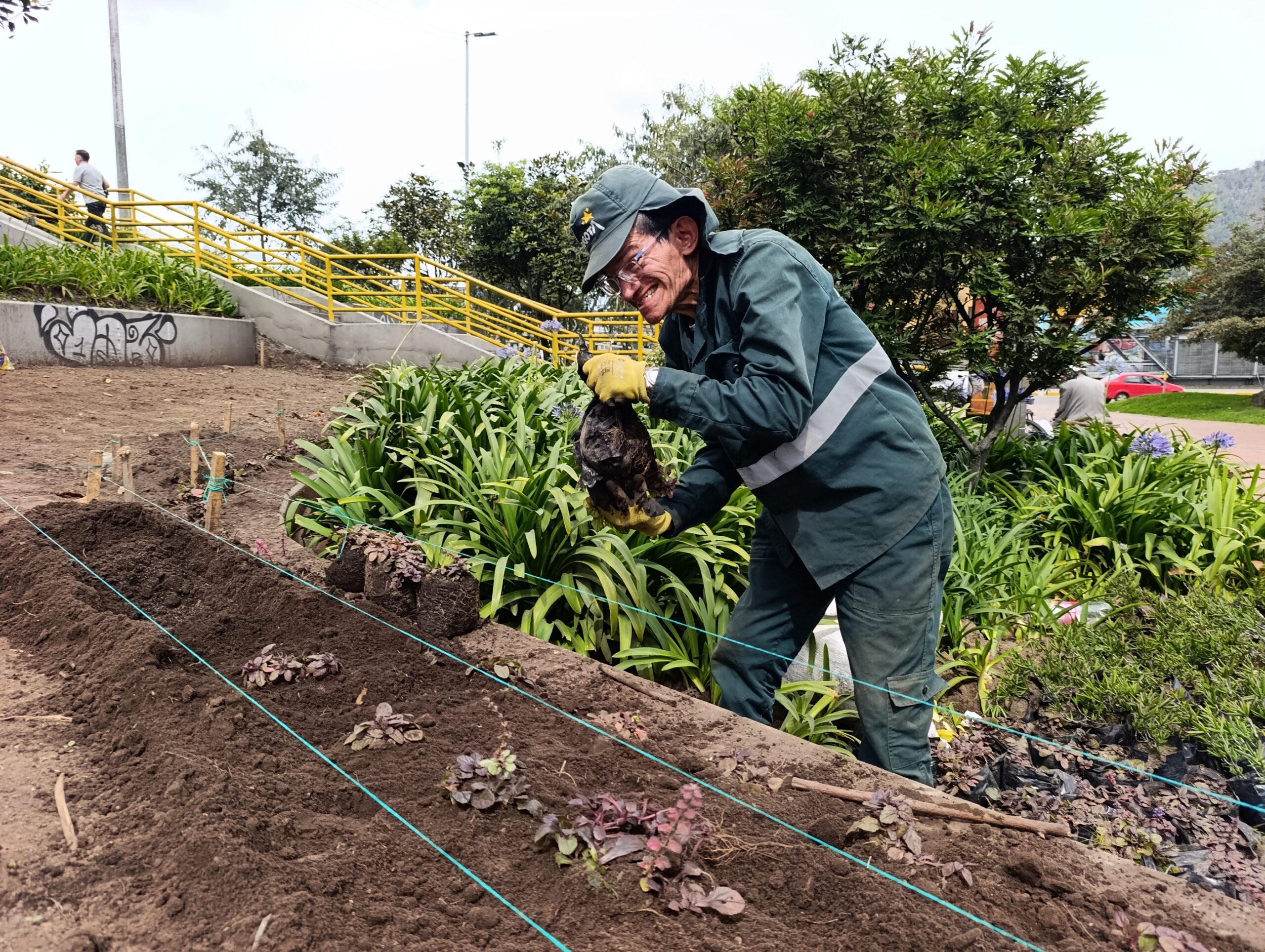Historias del verde urbano: El icónico puente vehicular de la carrera 30 con calle 26 renueva sus jardines