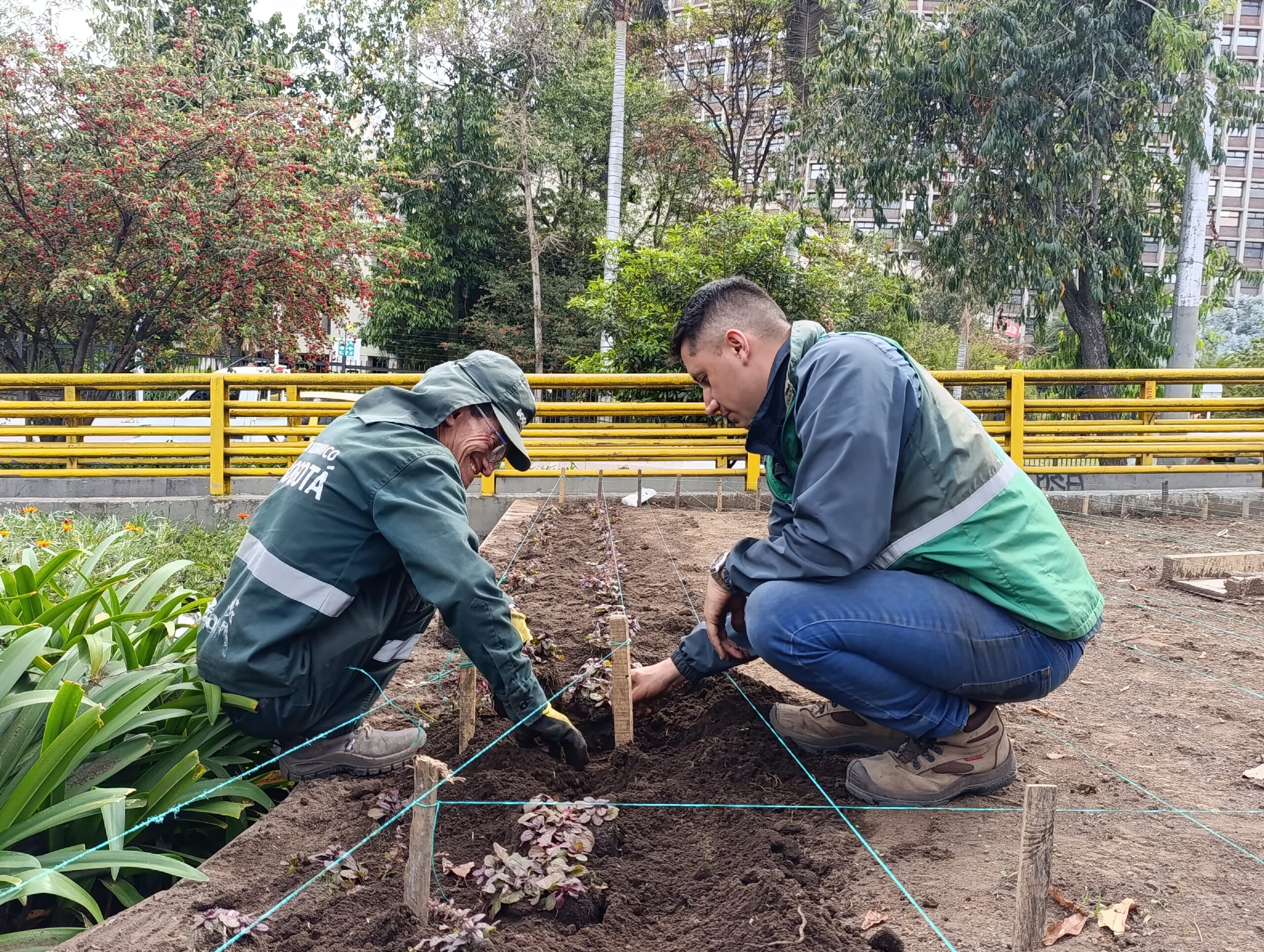 Historias del verde urbano: El icónico puente vehicular de la carrera 30 con calle 26 renueva sus jardines