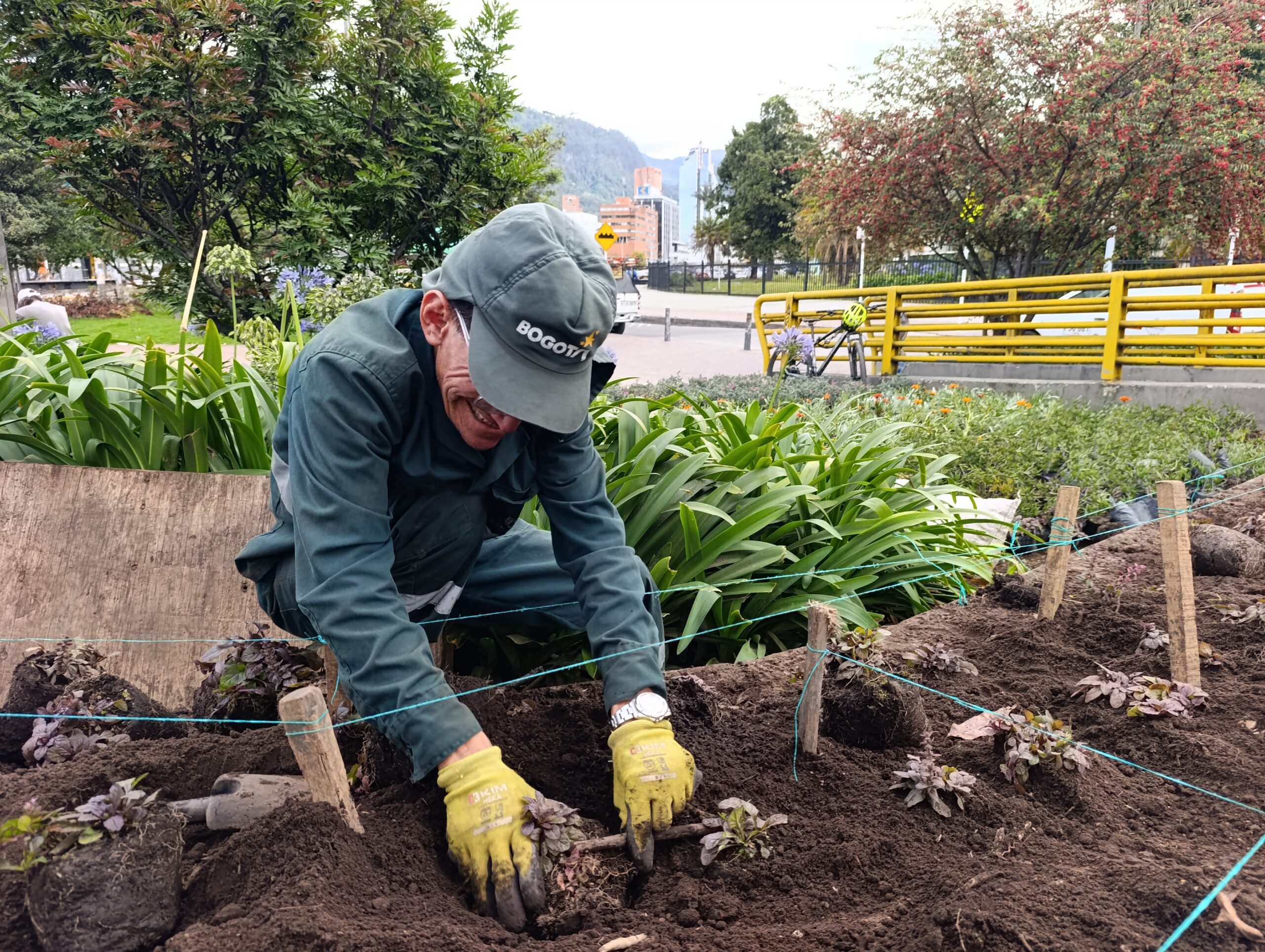Historias del verde urbano: El icónico puente vehicular de la carrera 30 con calle 26 renueva sus jardines