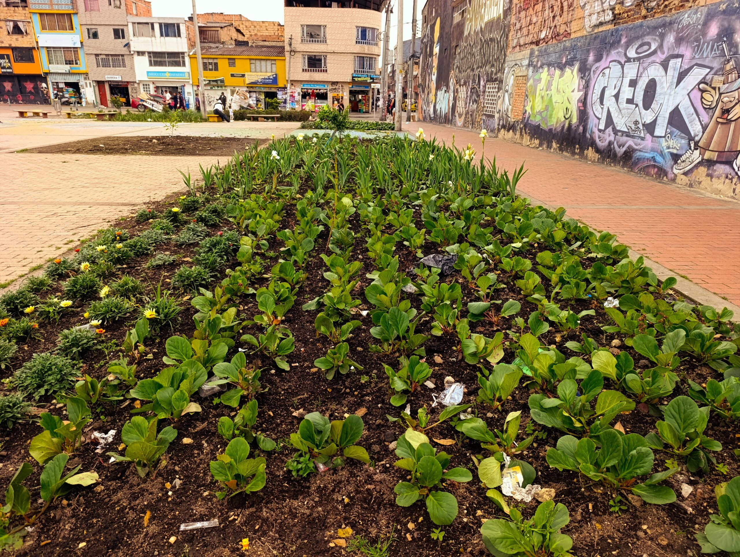 Historias del verde urbano: La recuperación floral de las 80 jardineras de la avenida El Rincón-Tabor