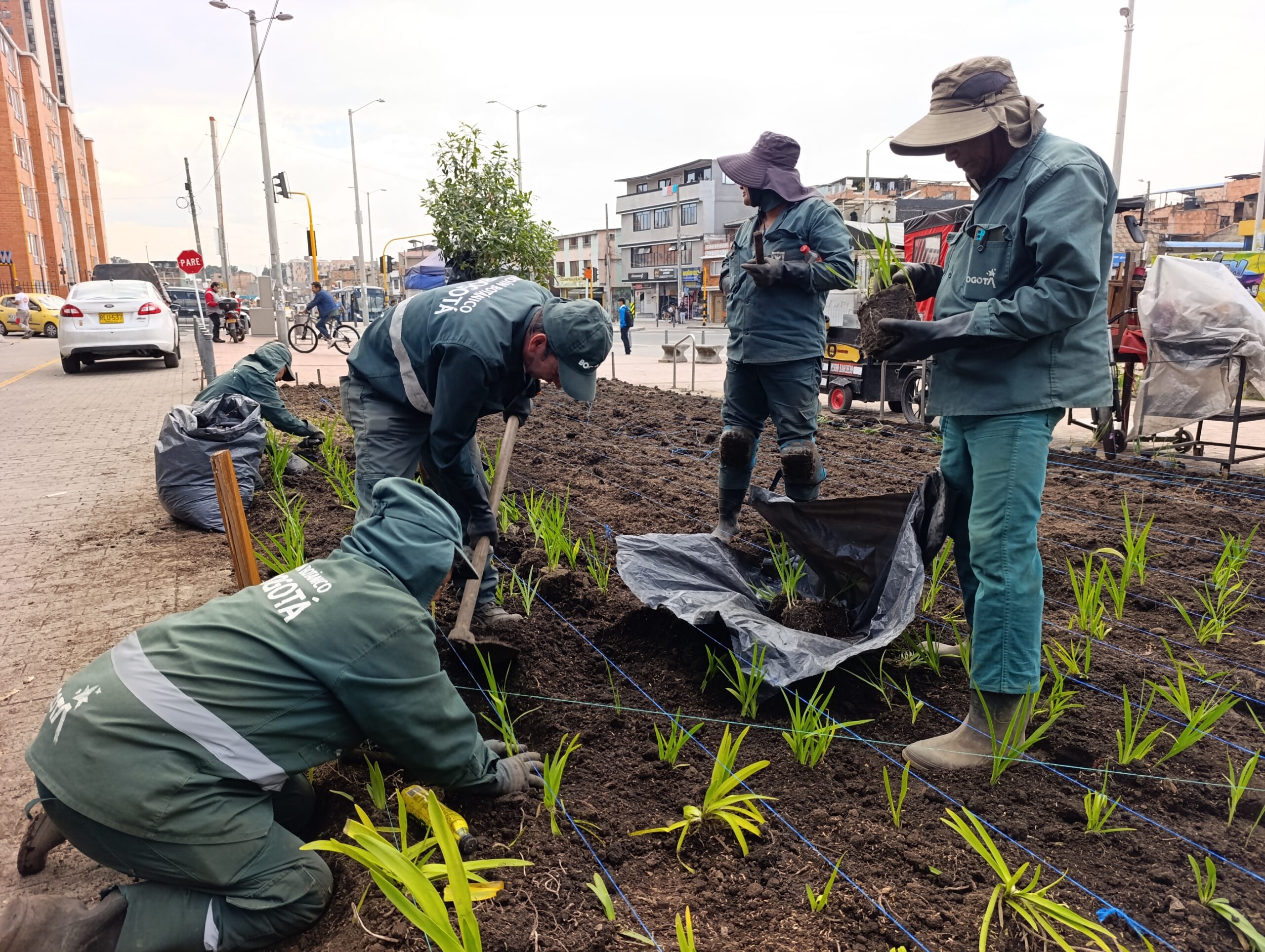 Historias del verde urbano: La recuperación floral de las 80 jardineras de la avenida El Rincón-Tabor
