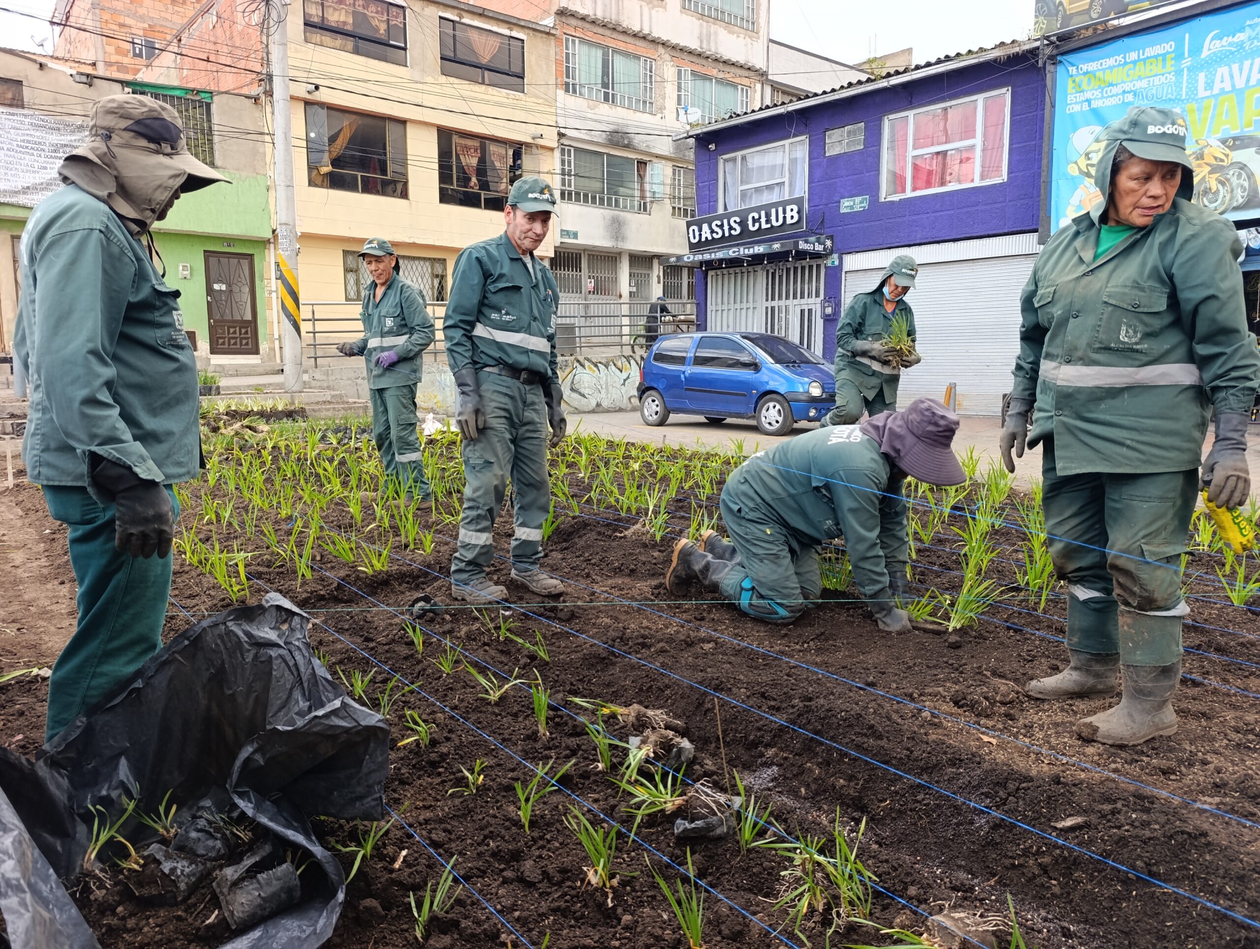 Historias del verde urbano: La recuperación floral de las 80 jardineras de la avenida El Rincón-Tabor