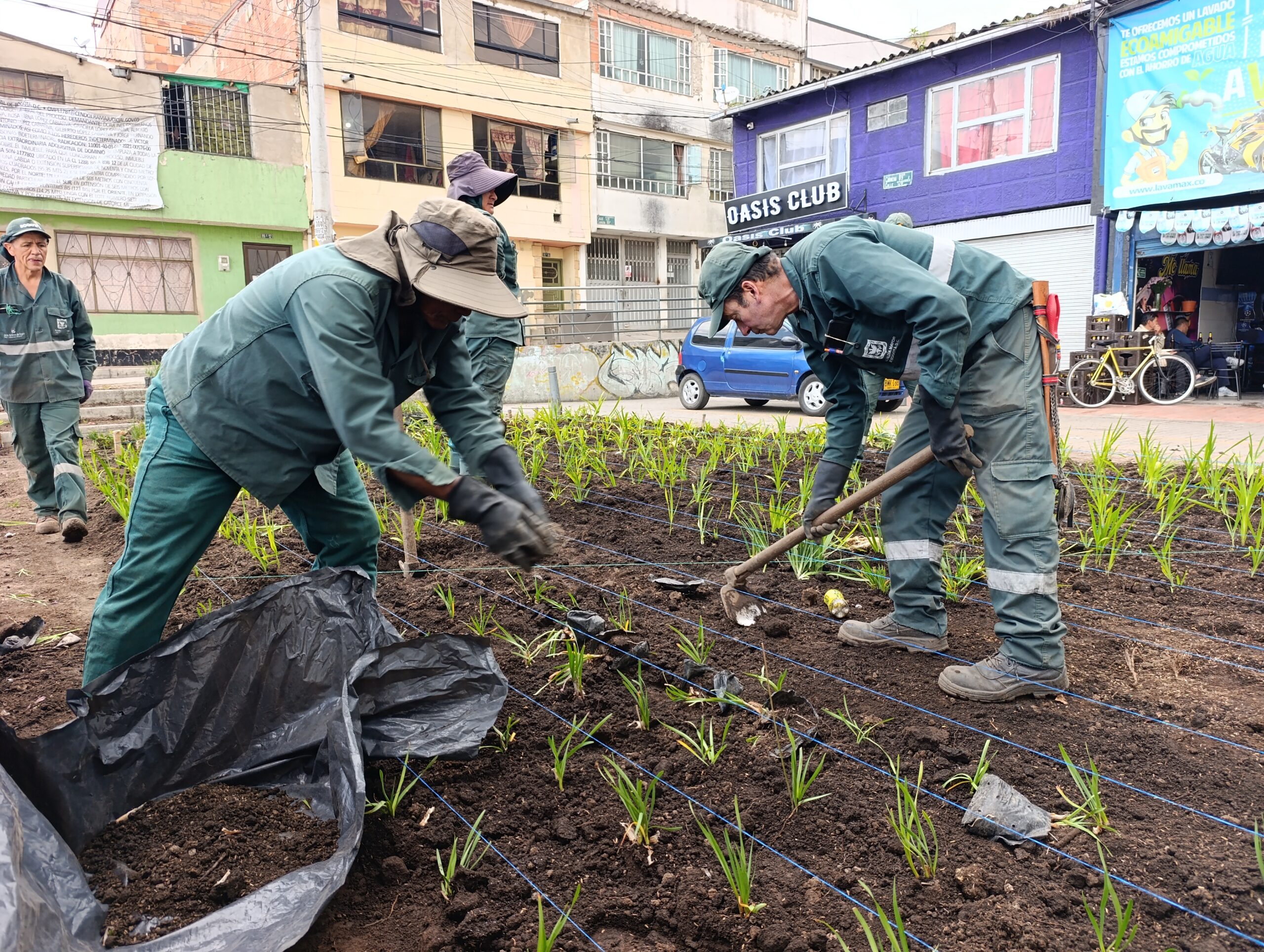 Historias del verde urbano: La recuperación floral de las 80 jardineras de la avenida El Rincón-Tabor