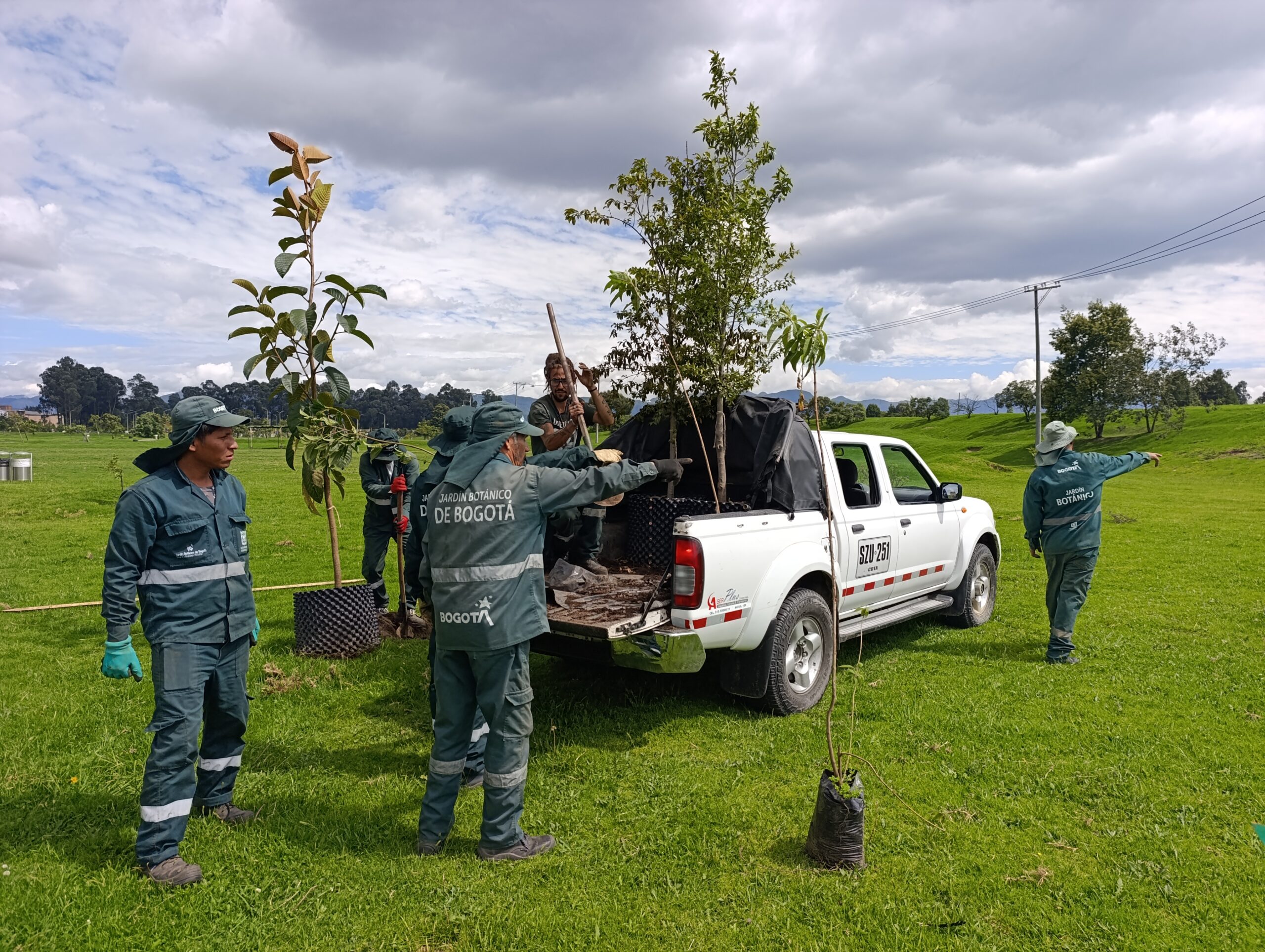 Historias del verde urbano: ¡El vecino deportivo del río Bogotá y el humedal Meandro del Say recupera su arbolado!