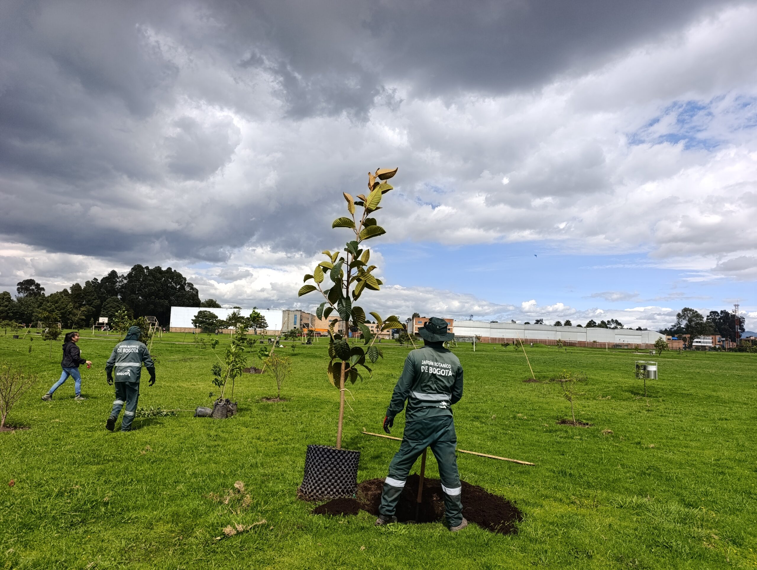 Historias del verde urbano: ¡El vecino deportivo del río Bogotá y el humedal Meandro del Say recupera su arbolado!