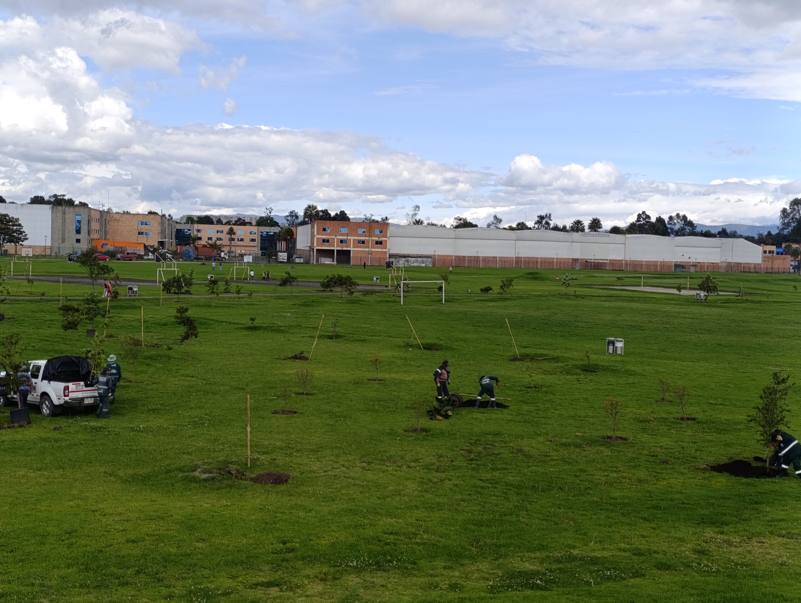 Historias del verde urbano: ¡El vecino deportivo del río Bogotá y el humedal Meandro del Say recupera su arbolado!