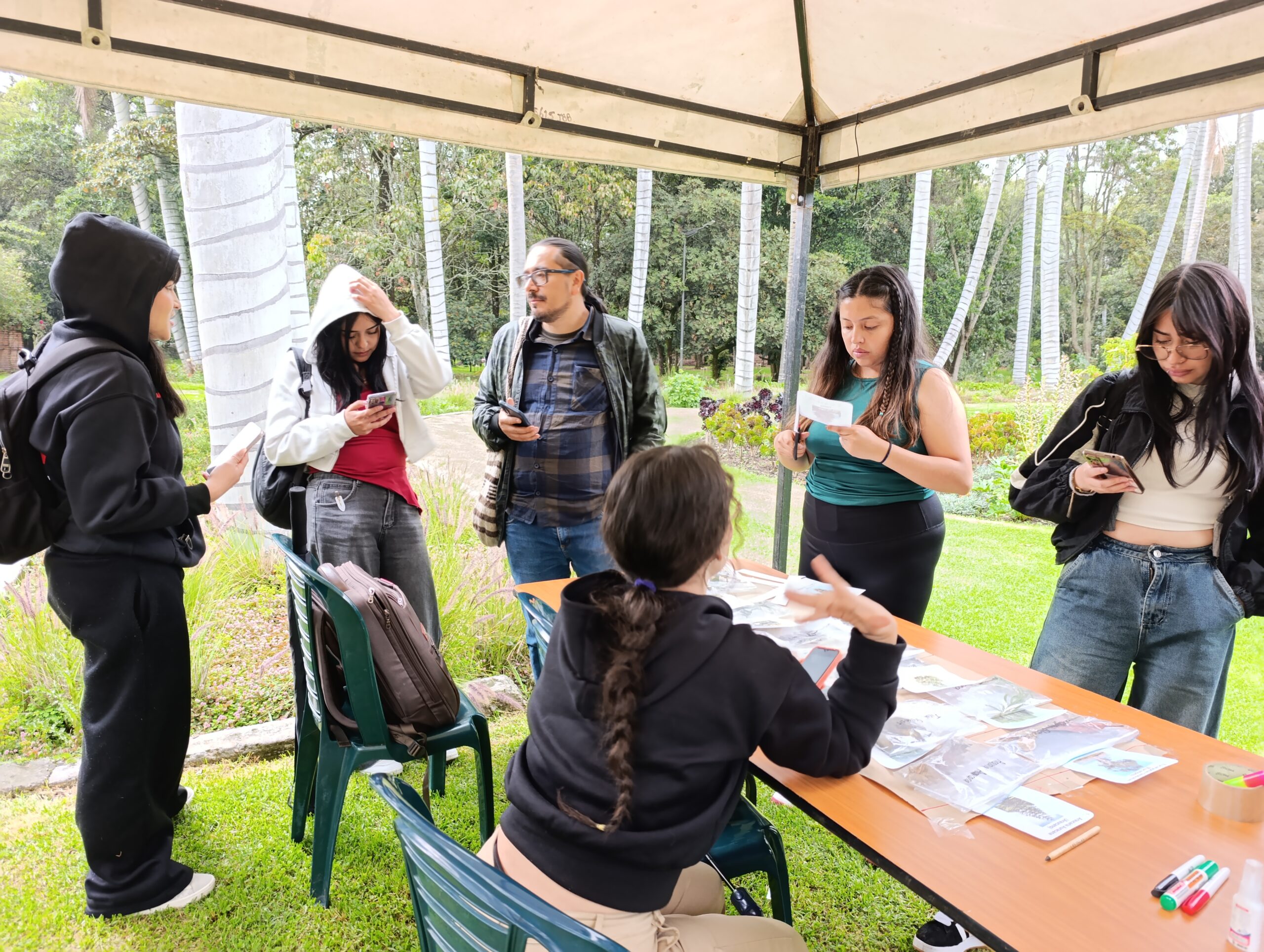 Historias del verde urbano: Bogotá realizó su primer encuentro de experiencias de aprendizaje significativas en los bosques urbanos