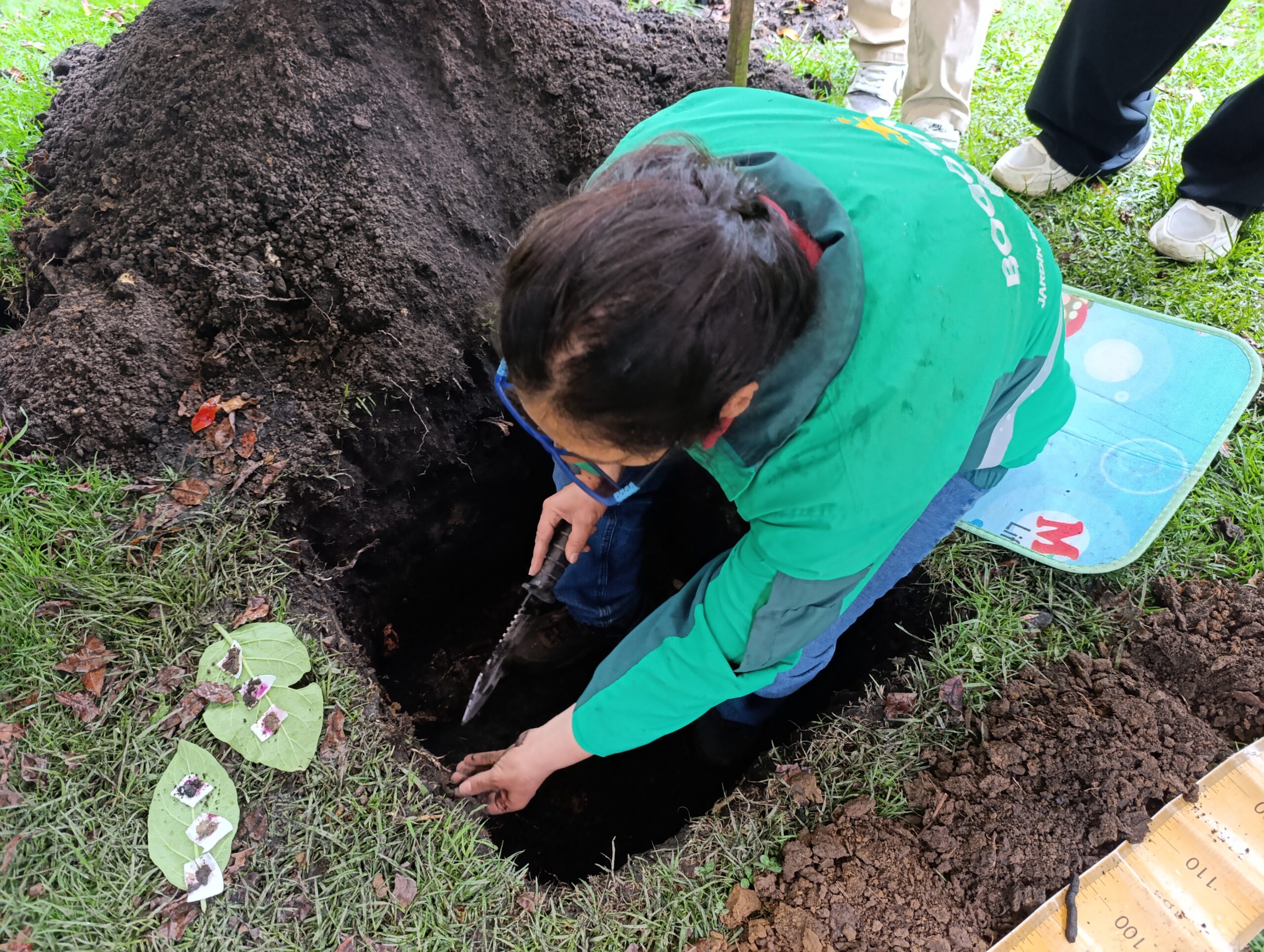 Historias del verde urbano: Bogotá realizó su primer encuentro de experiencias de aprendizaje significativas en los bosques urbanos