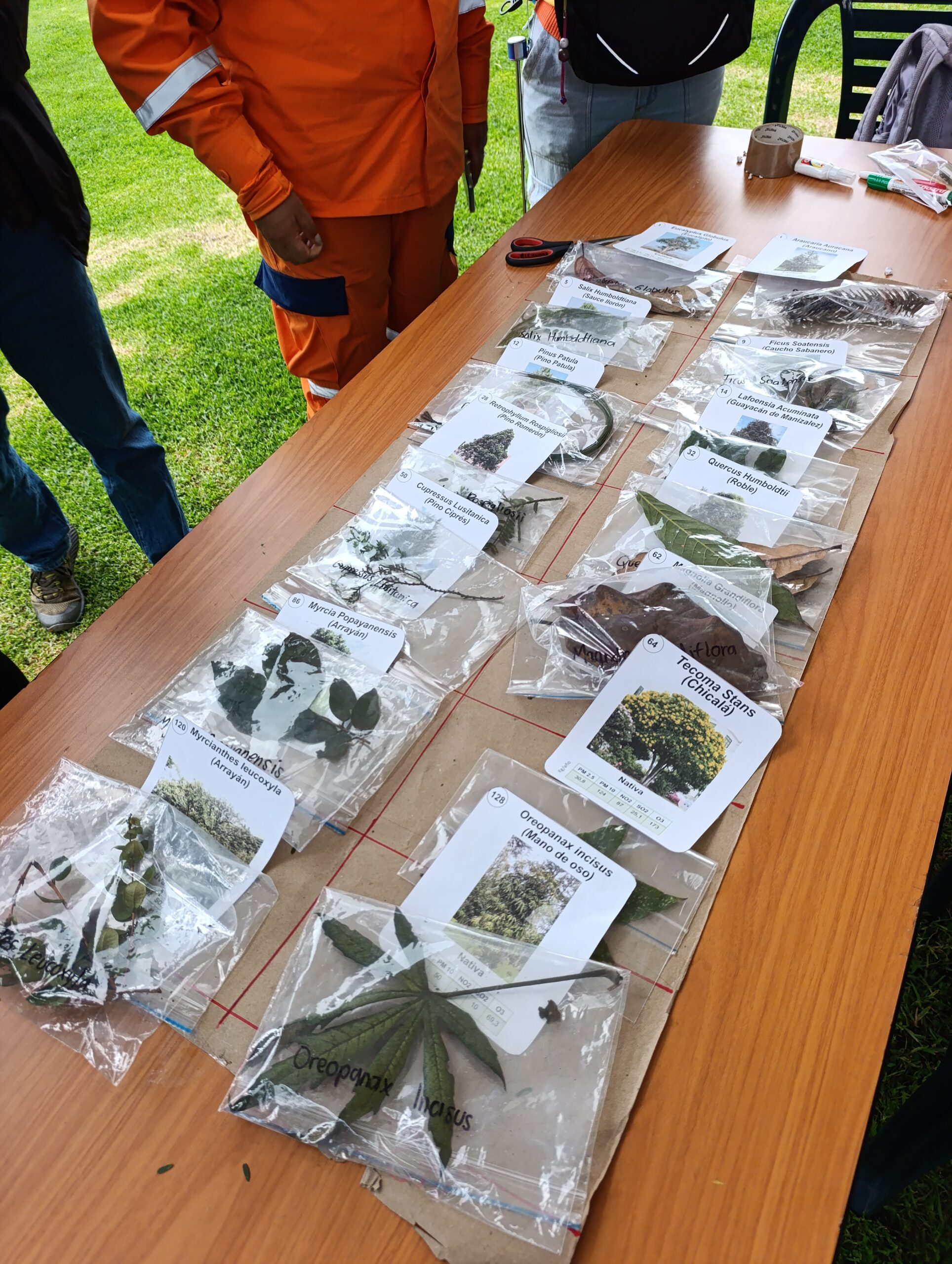 Historias del verde urbano: Bogotá realizó su primer encuentro de experiencias de aprendizaje significativas en los bosques urbanos