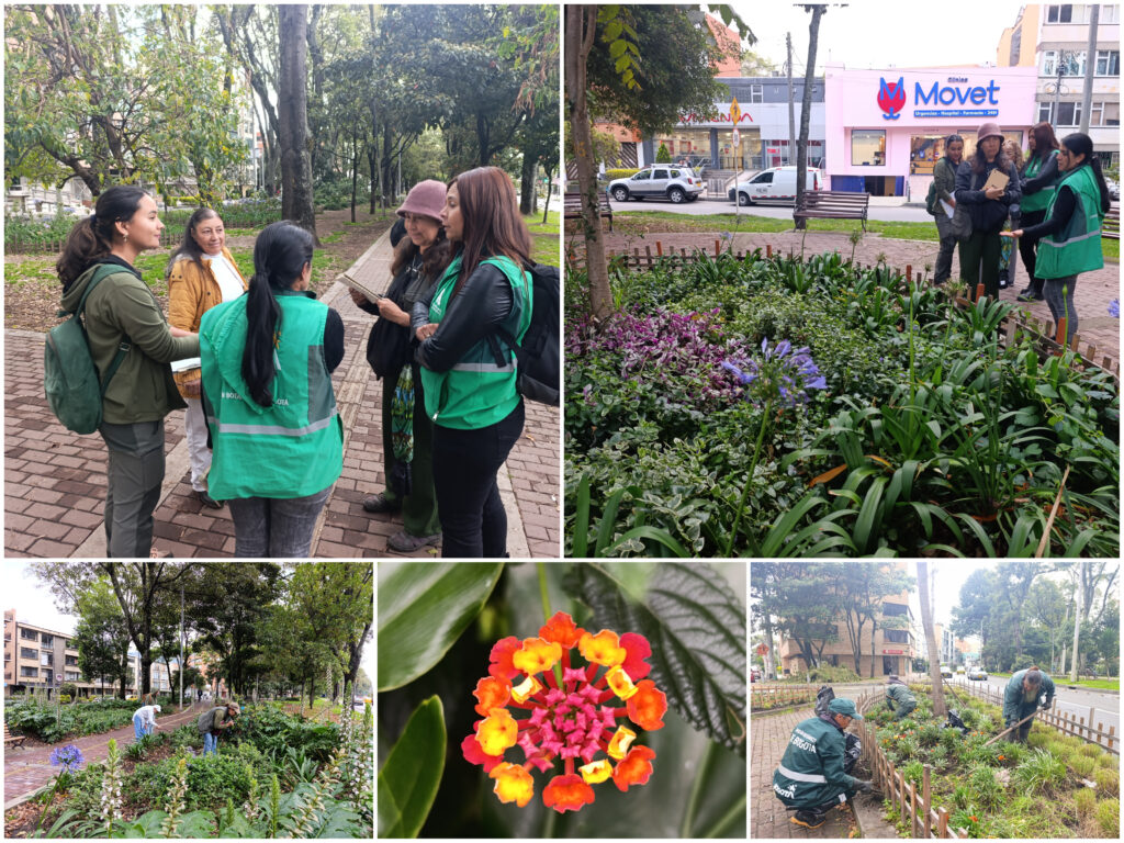 Historias del verde urbano: Proyecciones jardineras en el Parkway