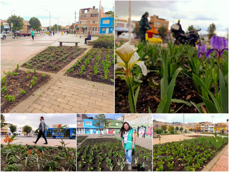 Historias del verde urbano: La recuperación floral de las 80 jardineras de la avenida El Rincón-Tabor