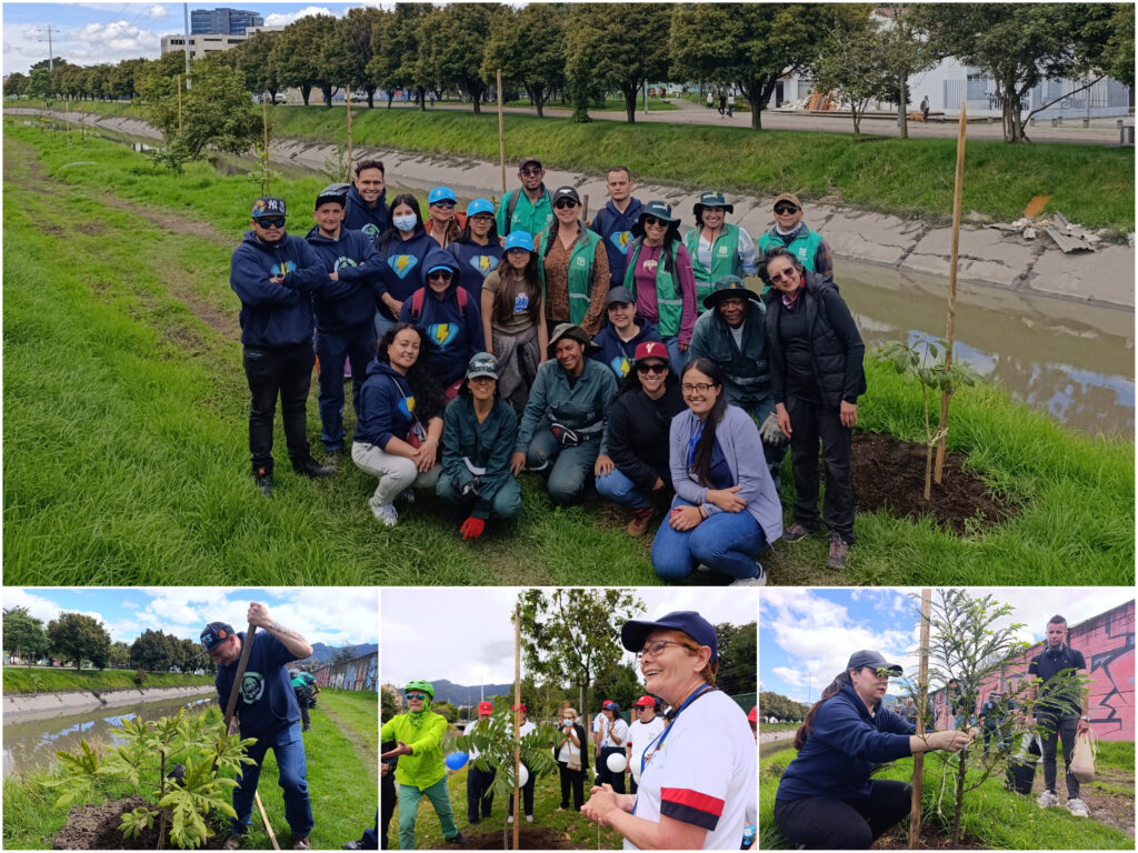 Historias del verde urbano: Río Negro: un canal que diversificó su ronda con 164 árboles y arbustos