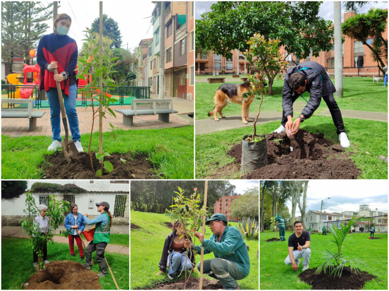 Historias del verde urbano: ¡Suba renaturaliza 14 de sus parques!