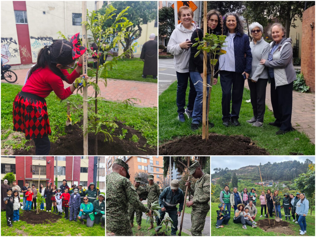 Historias del verde urbano: Engativá, Fontibón, San Cristóbal, Barrios Unidos y Usaquén renaturalizaron varios de sus parques y corredores viales