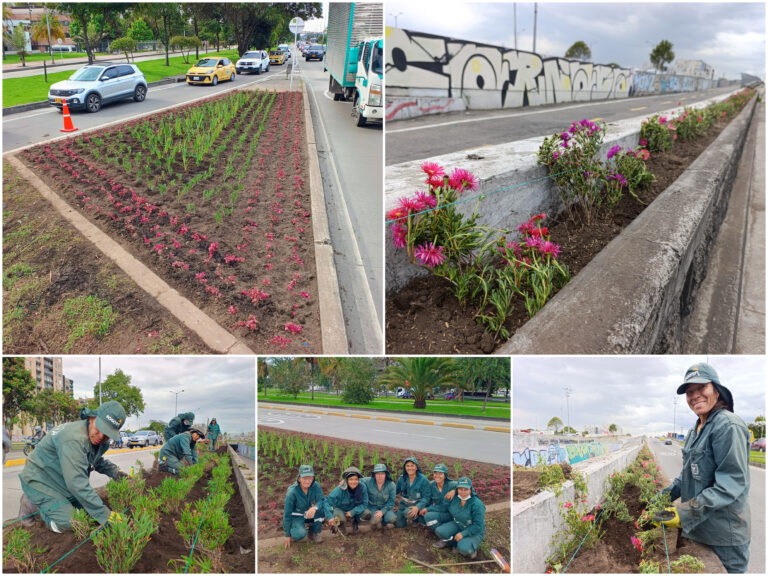 Historias del verde urbano: ¡Florece la avenida más verde y arbolada de Bogotá!