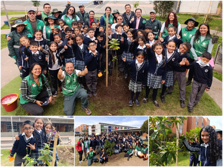 Historias del verde urbano: Los guardianes del nuevo arbolado del colegio Alfonso Reyes Echandía
