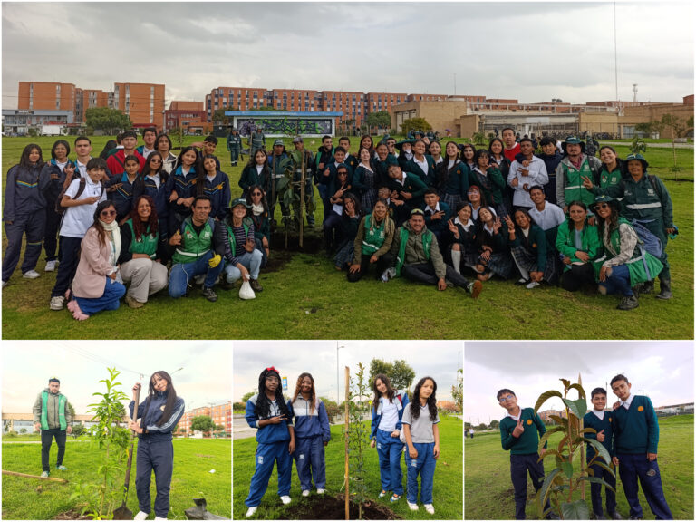 Historias del verde urbano: La fiesta estudiantil que renaturalizó el parque El Porvenir