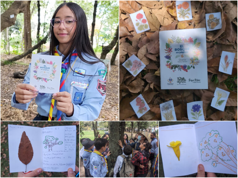 Historias del verde urbano: “El bosque en páginas”: el proyecto ambiental de una joven scout en el tesoro más verde de Ciudad Montes