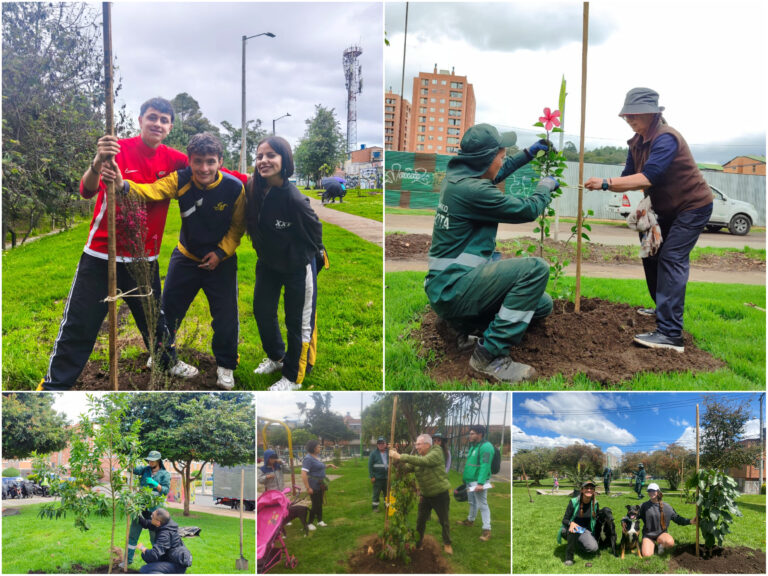 Historias del verde urbano: Plantaciones en los cuatro puntos cardinales de Bogotá