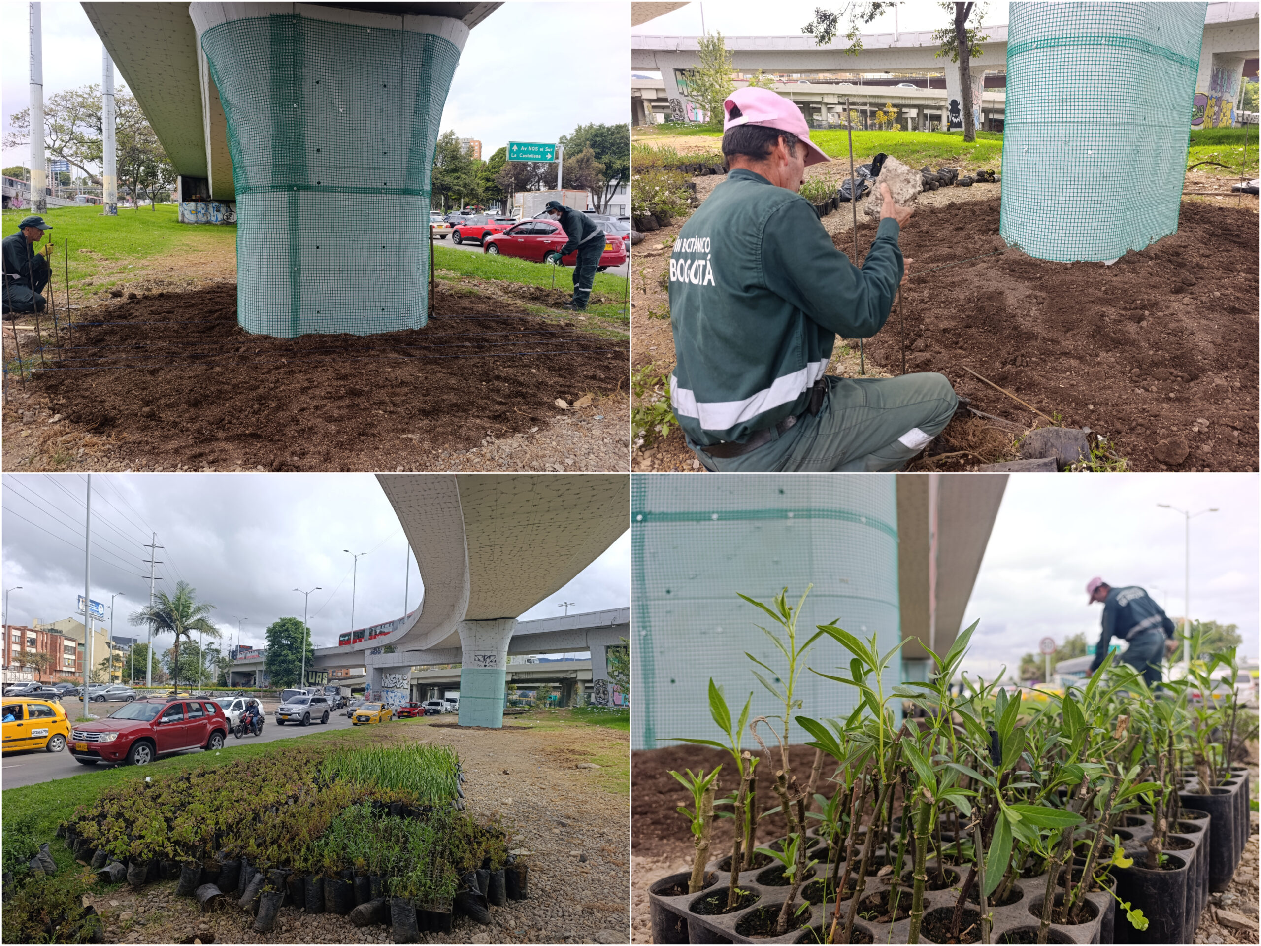 Historias del verde urbano: ¡La renaturalización llegó al puente vehicular de la calle 92!