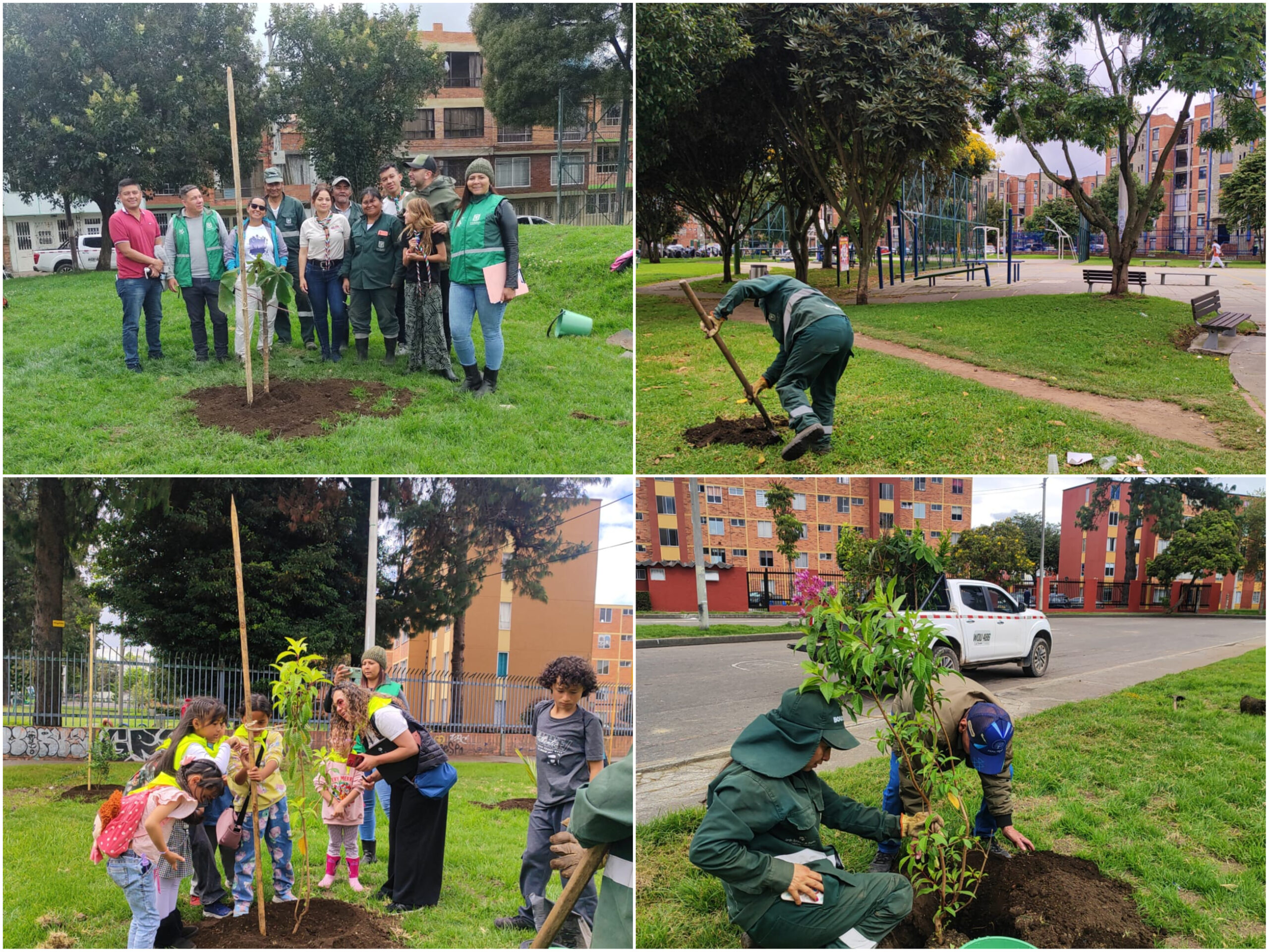 Historias del verde urbano: ¡Navidad arbolada en cuatro parques de Engativá!