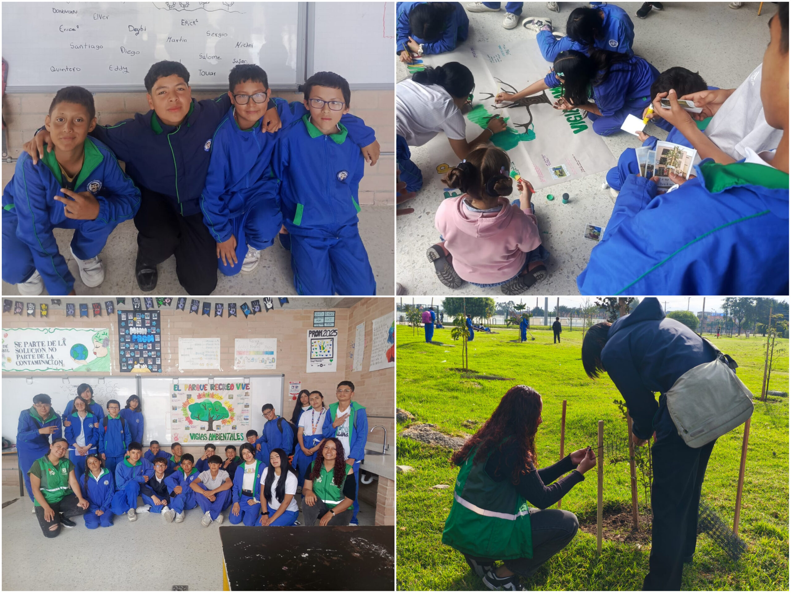 Historias del verde urbano: ¡El arbolado de El Recreo tiene sus guardianes!