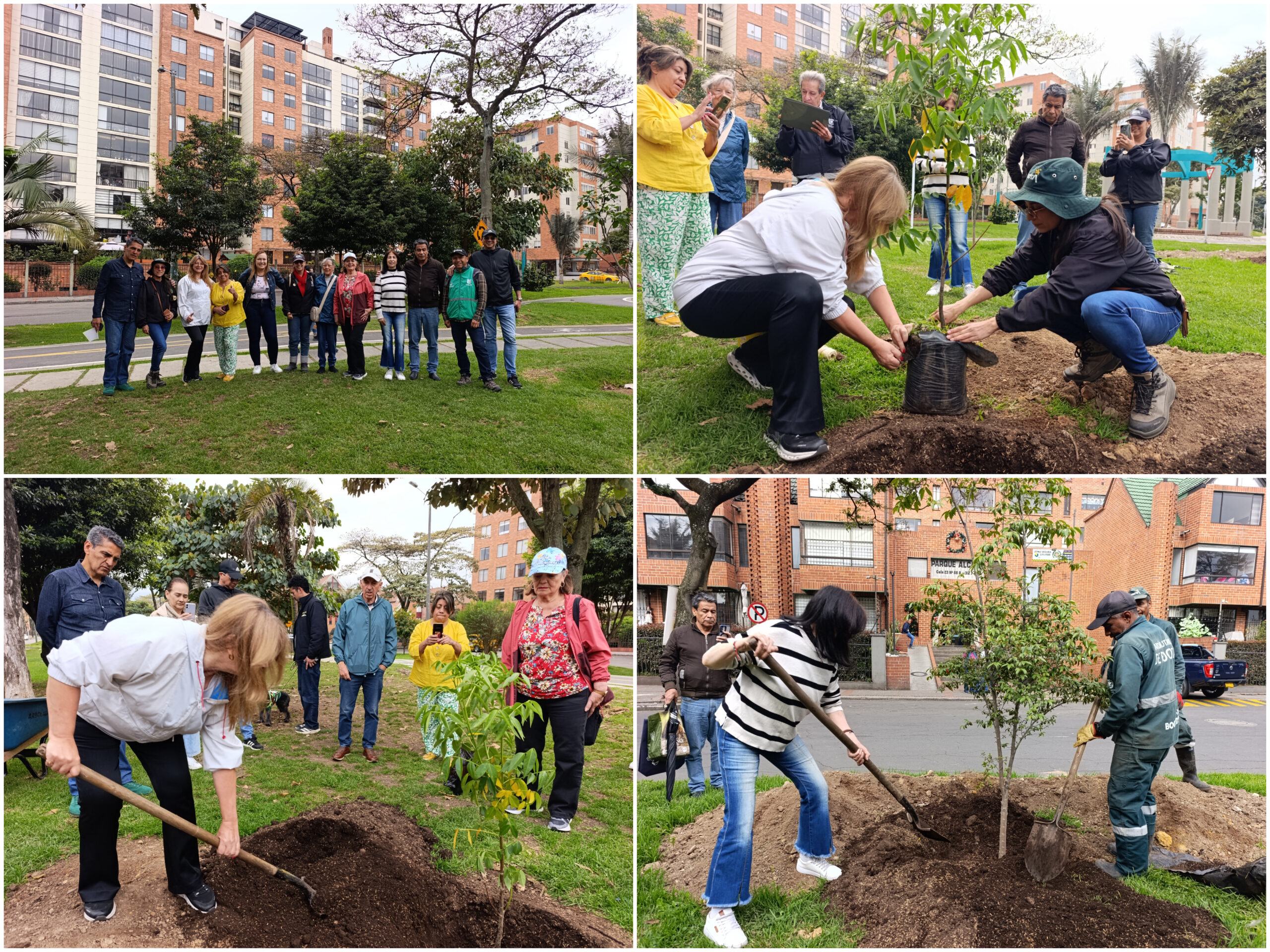Historias del verde urbano: Ciudad Salitre renaturaliza sus alamedas y orejas vehiculares