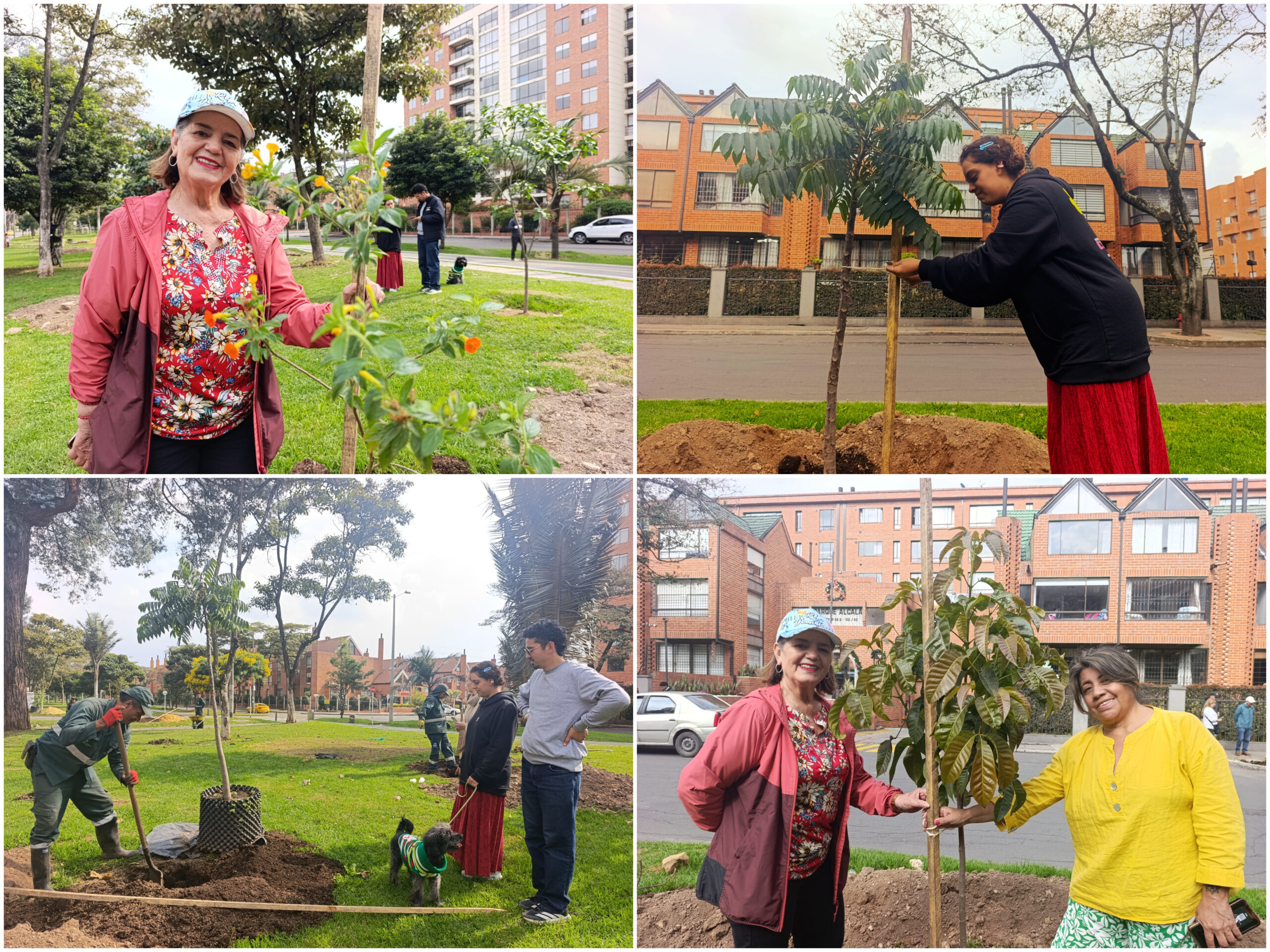 Historias del verde urbano: Ciudad Salitre renaturaliza sus alamedas y orejas vehiculares
