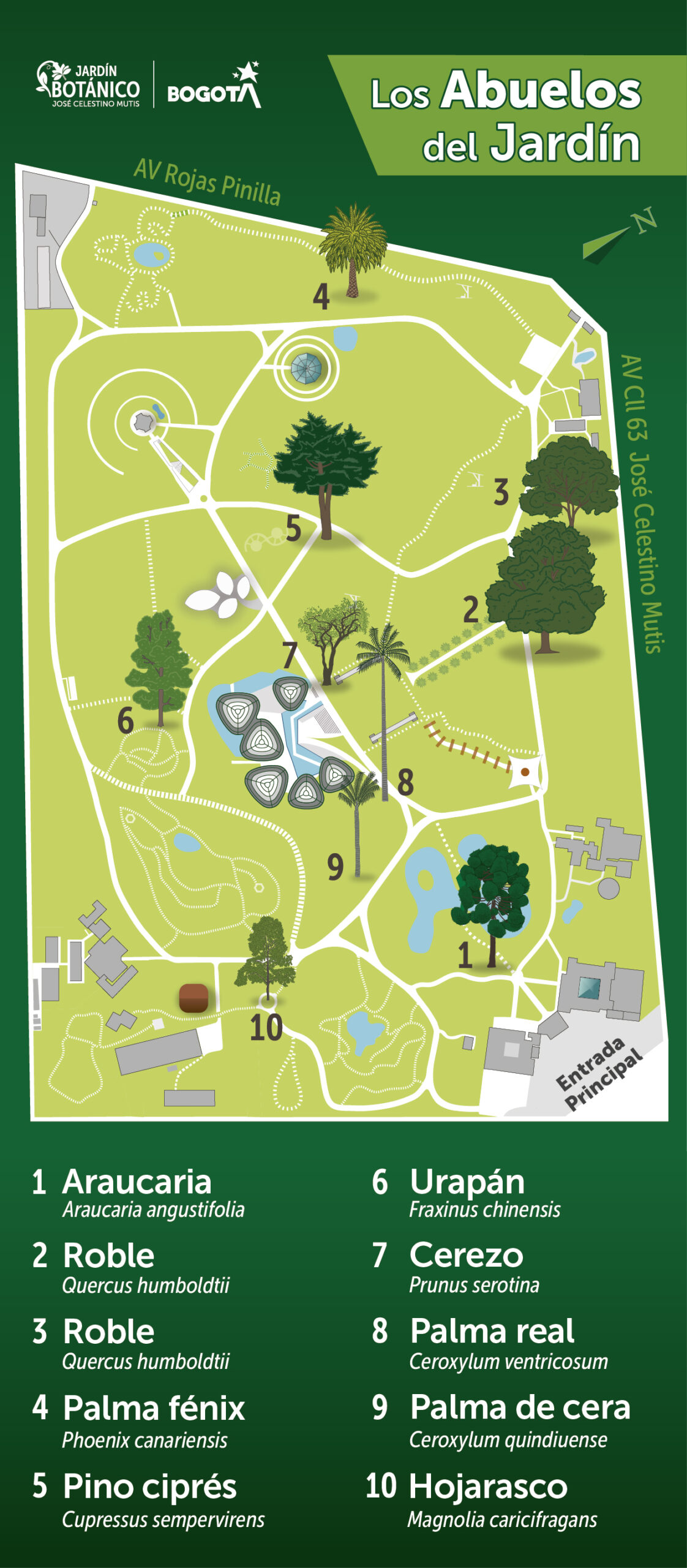 Mapa abuelos del Jardin