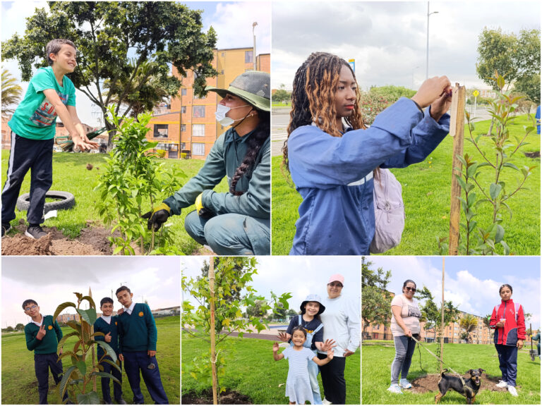 El Jardín Botánico José Celestino Mutis concluyó uno de los proyectos de arborización más importantes en el sur de la ciudad.