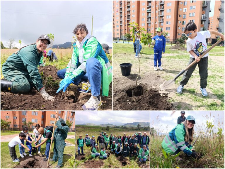 ¡Plantaciones en las dos caras de Ciudad Bolívar!