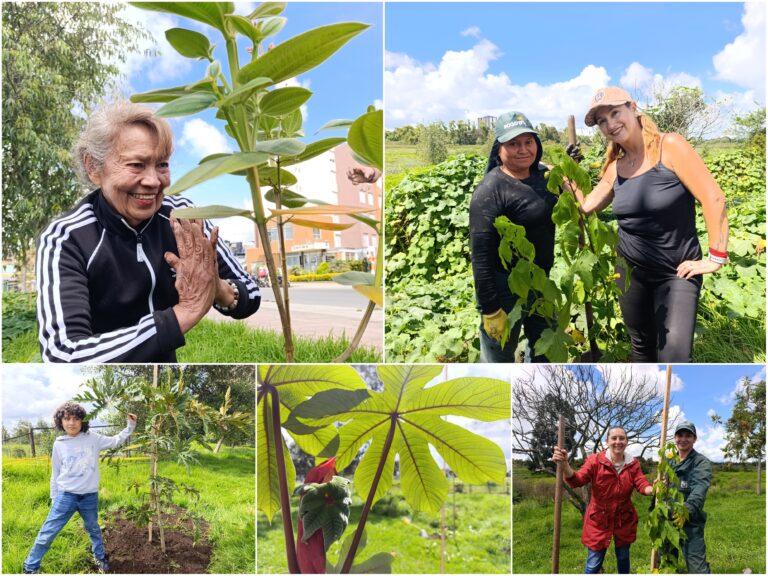 Historias del verde urbano: El nuevo vecino del humedal Jaboque robustece su arbolado