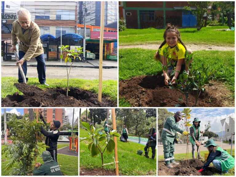 Historias del verde urbano: Bogotá aumentó su verde con 344 nuevos árboles en el Día Internacional del Voluntariado