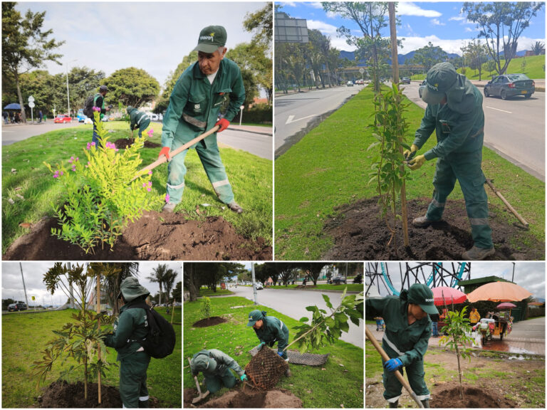 Historias del verde urbano: ¡La Mutis se vistió de verde!