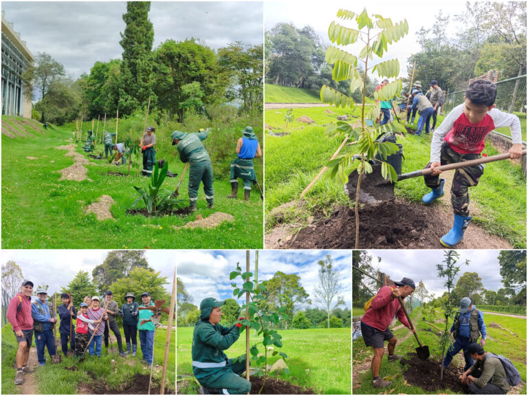 Historias del verde urbano: ¡Dos nuevos corredores biológicos en Barrios Unidos!