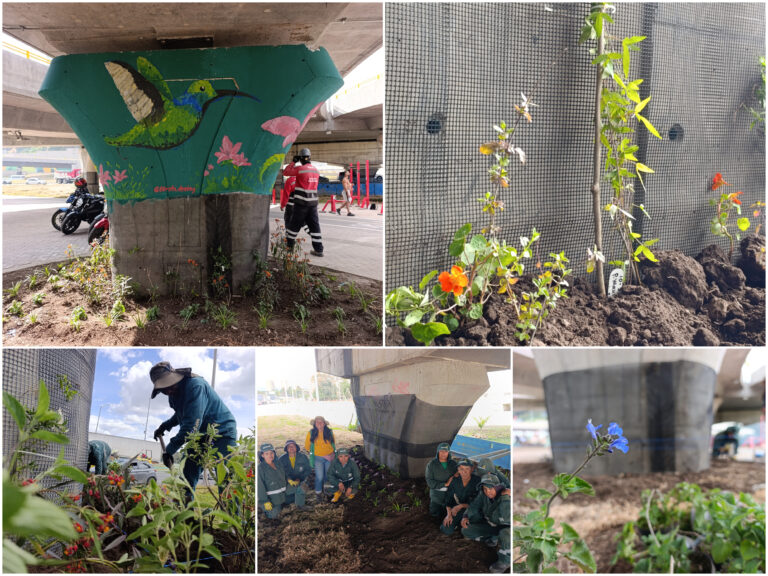 Historias del verde urbano: Los 11 nuevos jardines biodiversos de los puentes de la calle 127 con avenida Boyacá