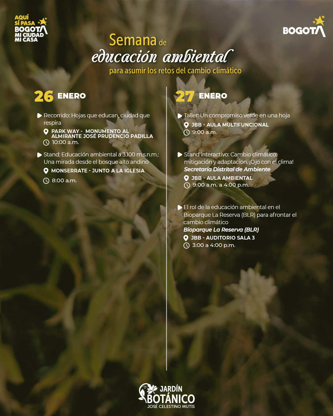 2. Mesa de trabajo 1 copia 10-100