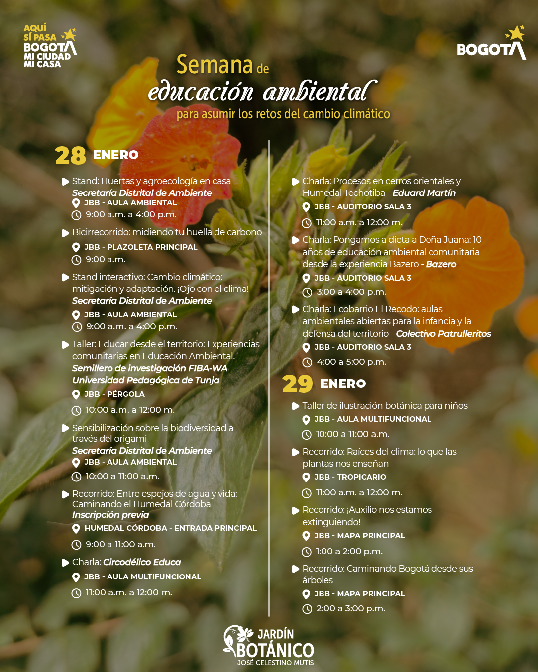 3. Mesa de trabajo 1 copia 6-100