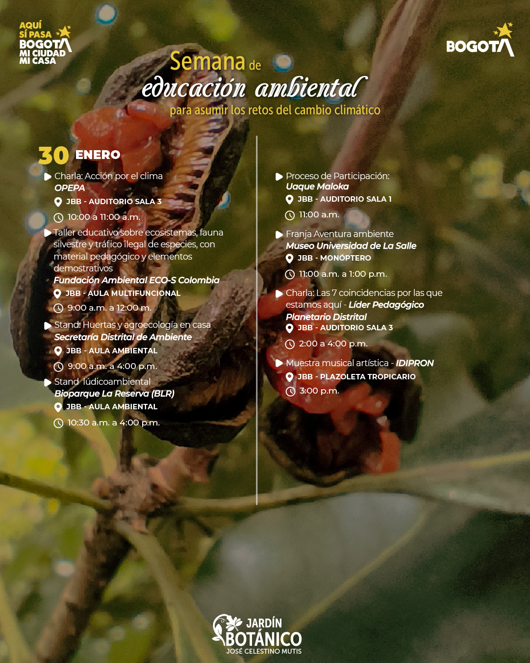 4. Mesa de trabajo 1 copia 7-100