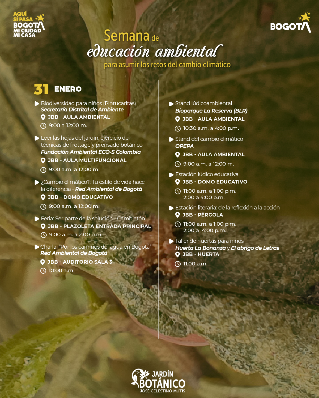 5. Mesa de trabajo 1 copia 8-100