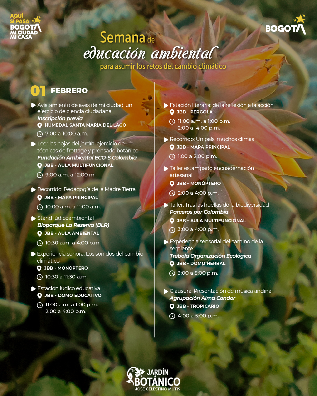 6. Mesa de trabajo 1 copia 9-100