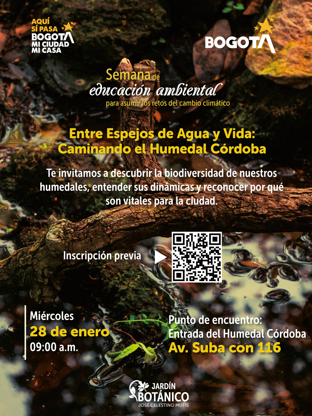 Humedal-Cordoba_280126-1