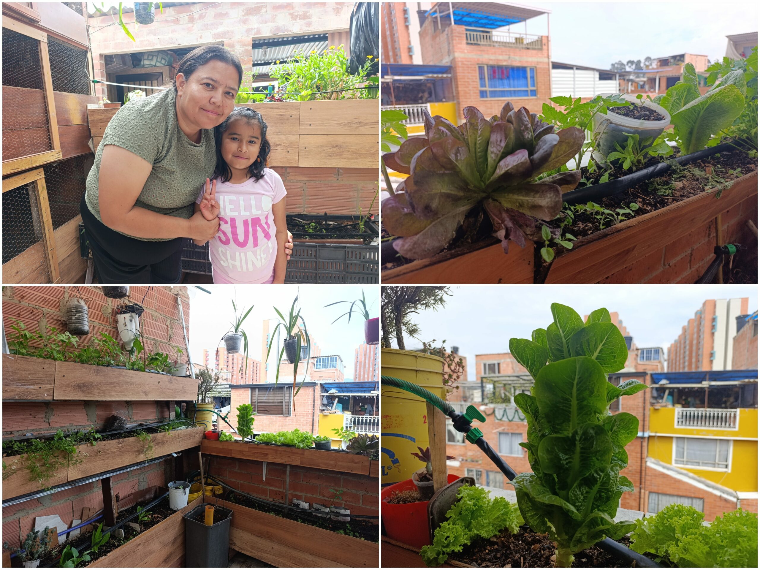 Historias del verde urbano: La nueva lideresa y empresaria huertera de Suba