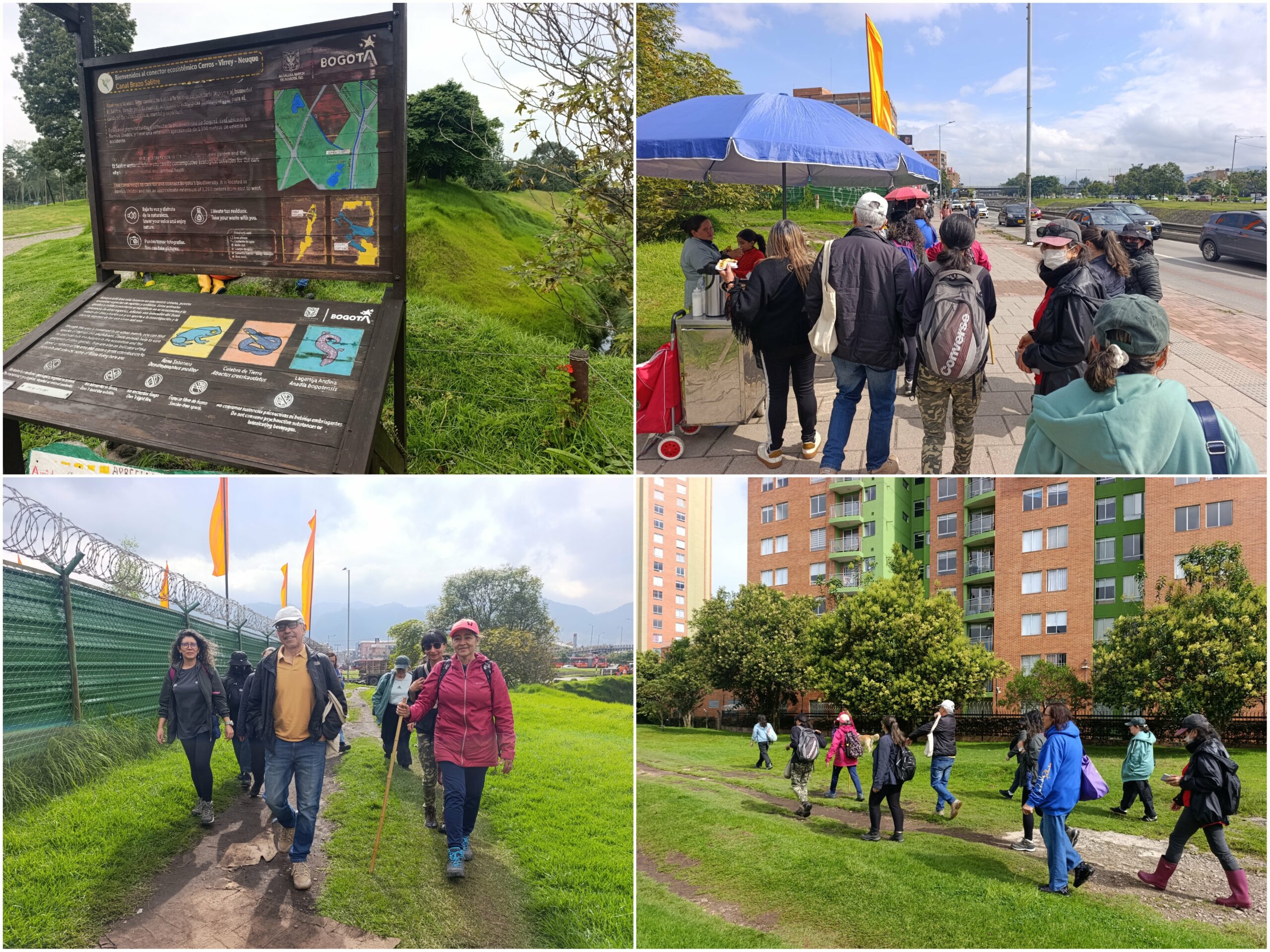 Historias del verde urbano: Una ‘caminata consciente’ por el bosque que la comunidad salvó de ser atropellado por una vía