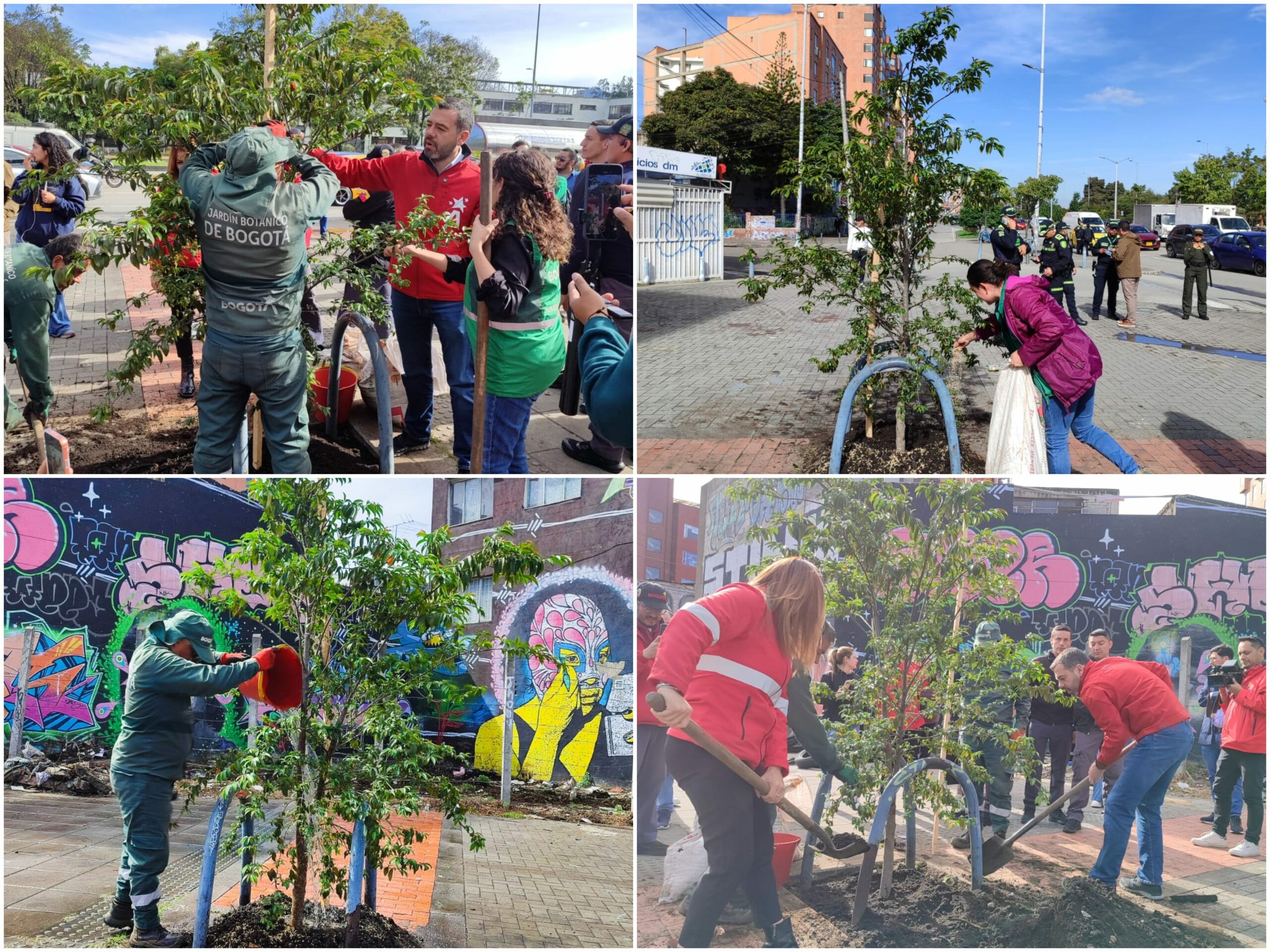 Historias del verde urbano: El Jardín Botánico de Bogotá plantó el primer centenar de árboles y arbustos de este año