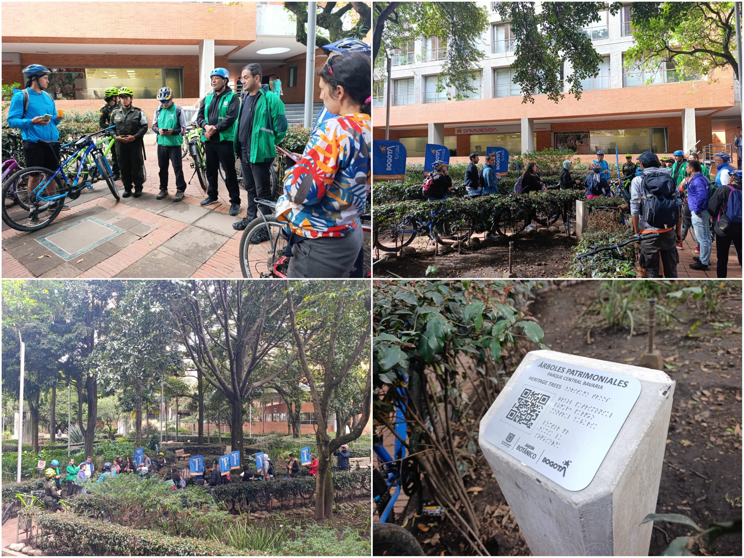 Historias del verde urbano: Ciclopaseo por el patrimonio verde del centro histórico Historias del verde urbano: Ciclopaseo por el patrimonio verde del centro histórico